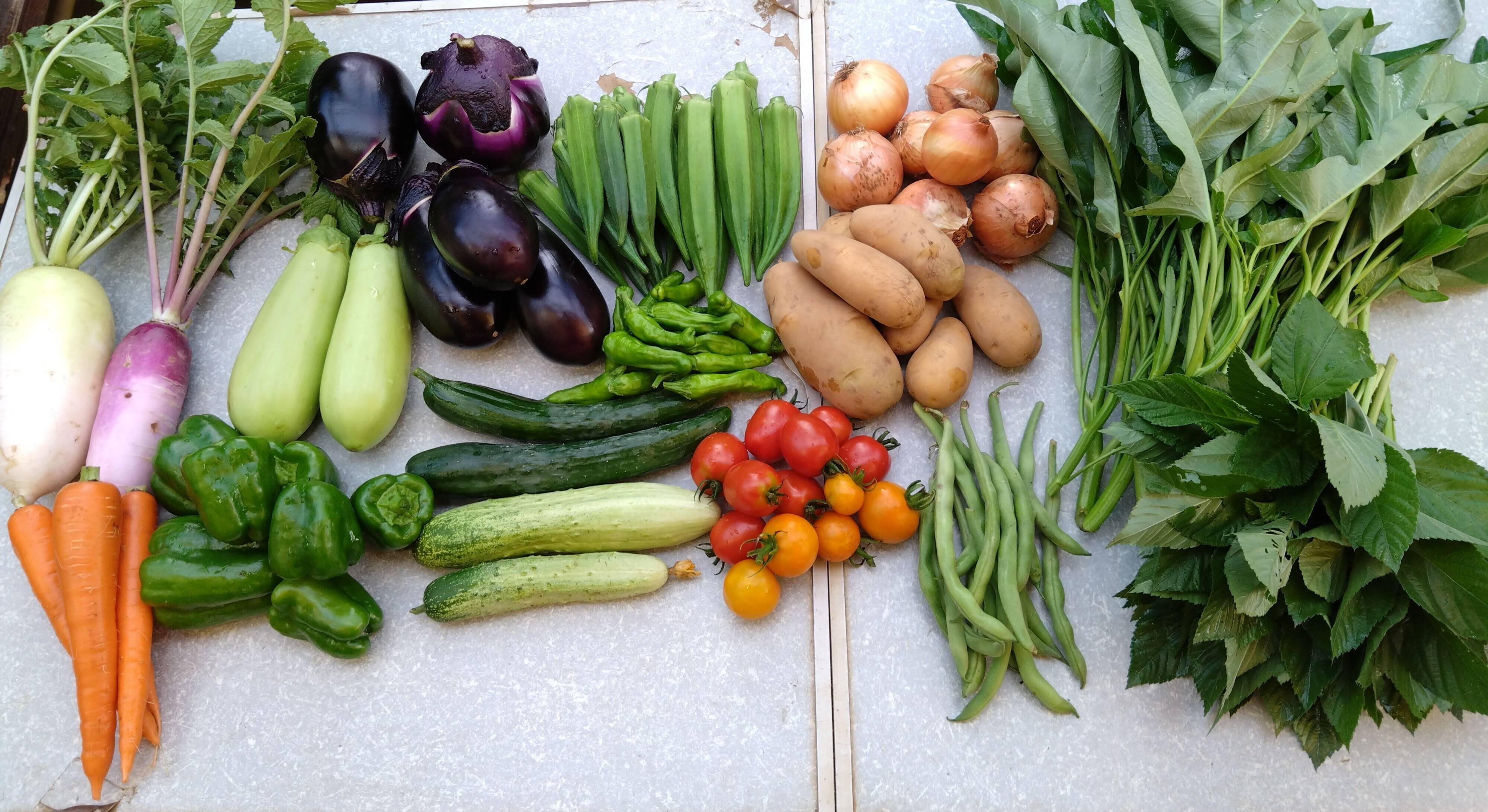 ささきこ様　野菜セット ささきこ様野菜セット