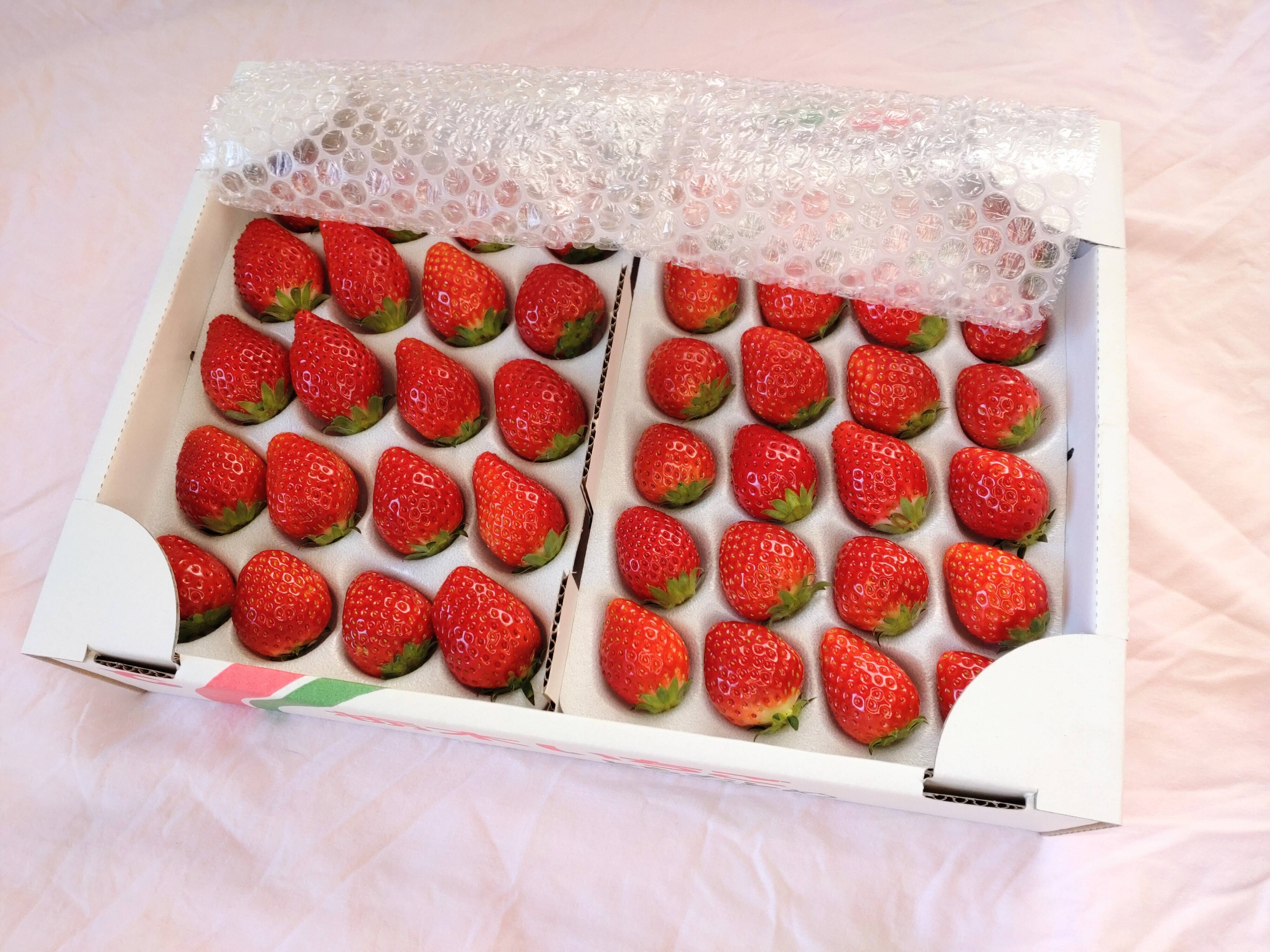 とちおとめ好きのためのとちおとめ（中）1200g、80〜96粒：栃木県産の