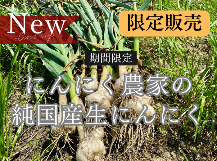 期間限定】幻の生にんにく 2代ブランド贅沢食べ比べセット 「讃岐平戸