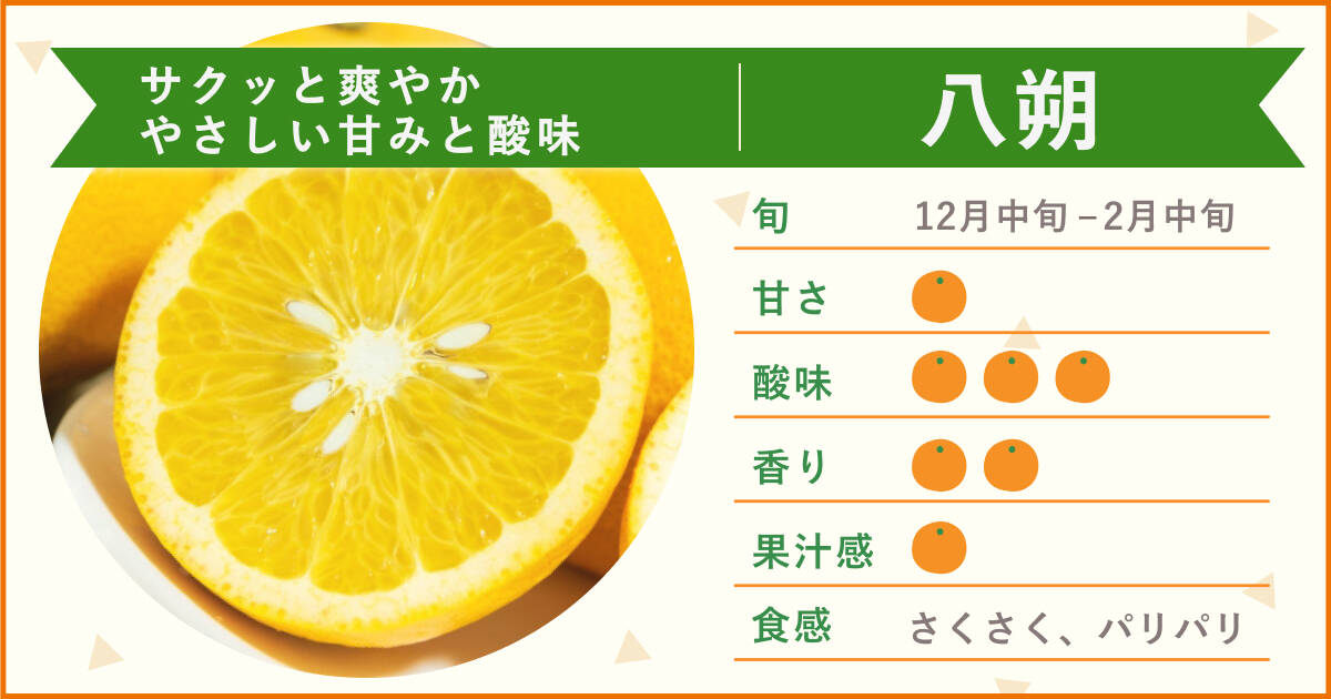 🍴Eatable Choku｜Special feature on “Hassaku” with [unique and exquisite bitterness]! Dissecting the secret of popularity
    Do you know "Hassaku", one of the representative citrus varieties? Sweetness and sourness...