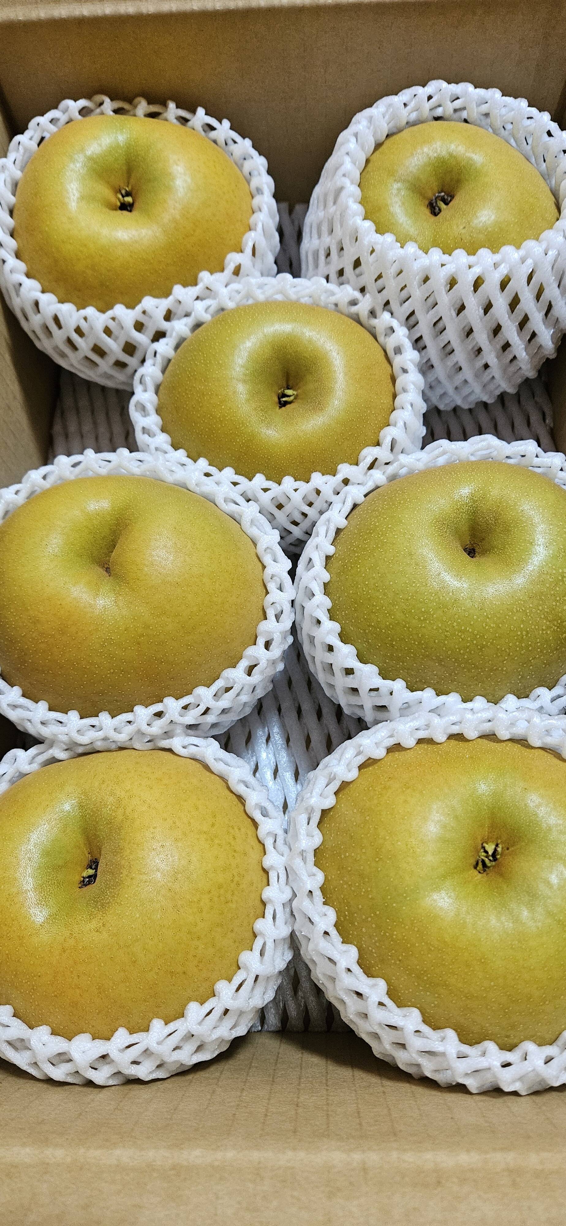 樹上完熟和梨「甘太」5kg【直送便】：山形県産の甘太｜食べチョク