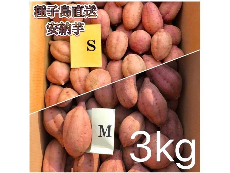 無農薬栽培期間 種子島産安納芋MLサイズ1.2kg