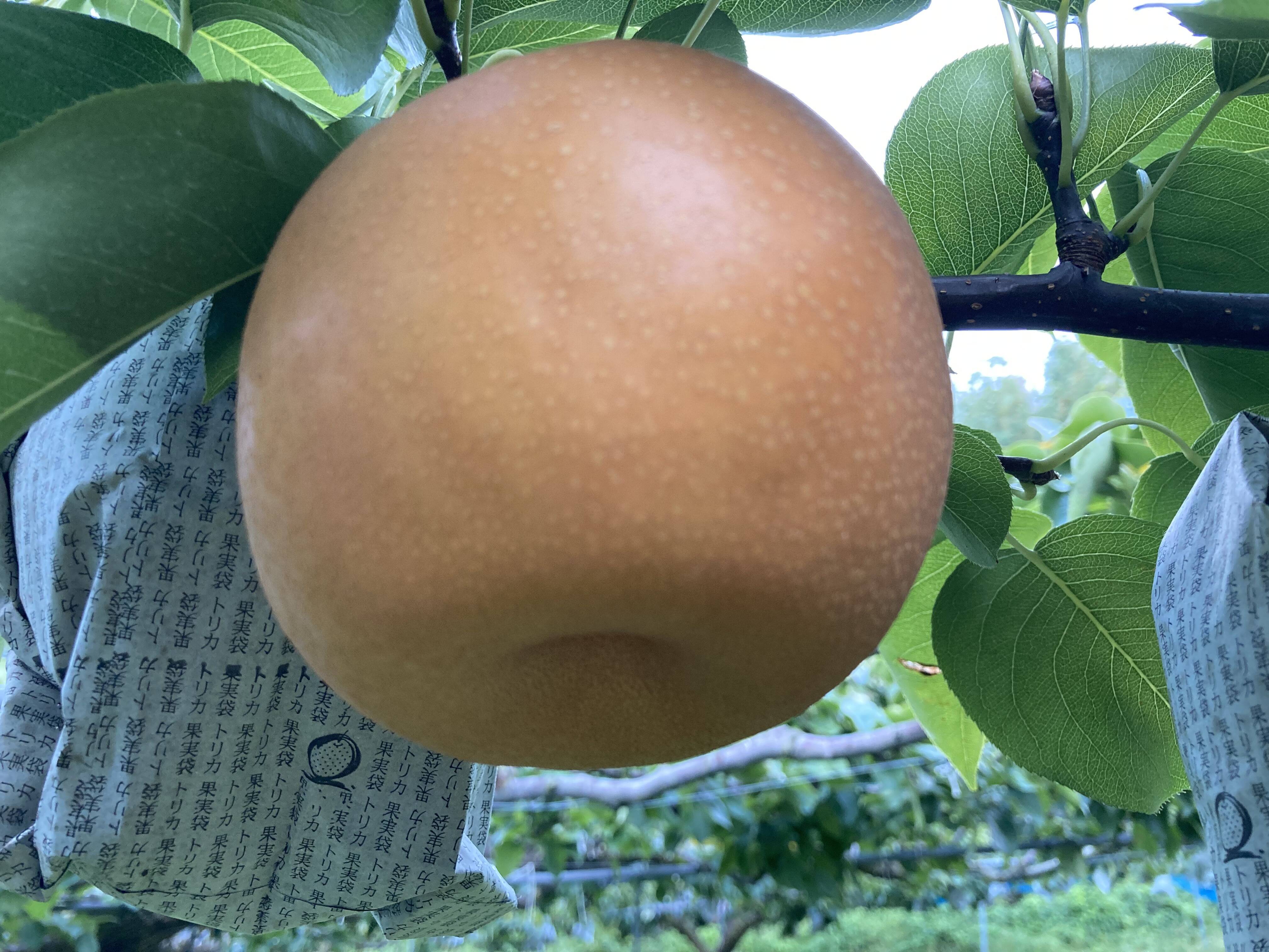 7cf611bd2bda76b6985811a94fb936