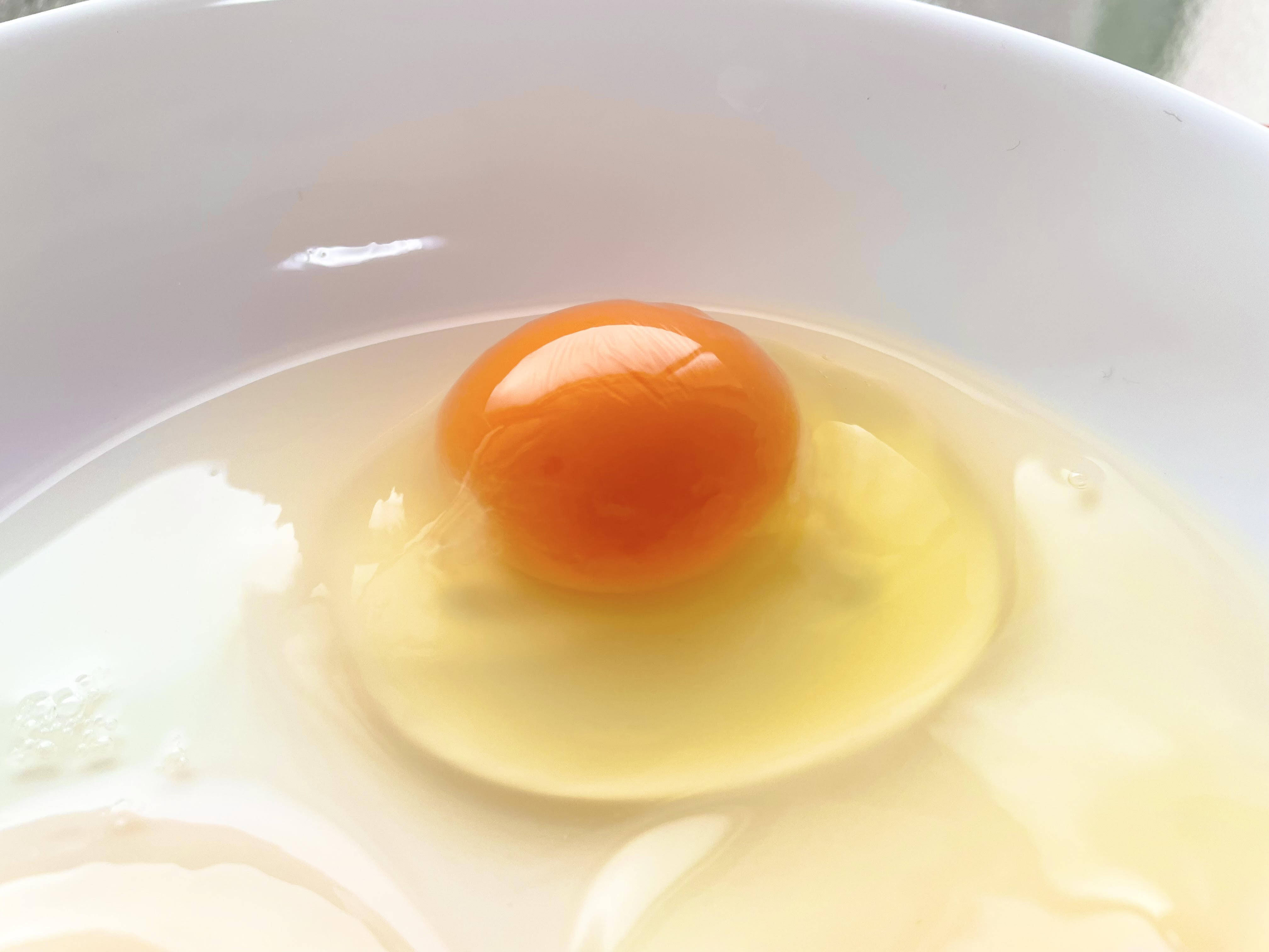 ☆期間限定☆ぷりぷりの白身とこんもり黄身がクセになる【初たまご50個 