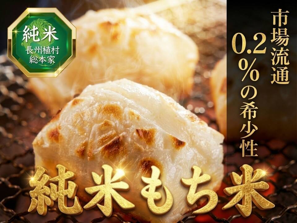 | 無洗米もち米個包装タイプ もち米 玄米・米 はくばく | ぬいぐるみ
