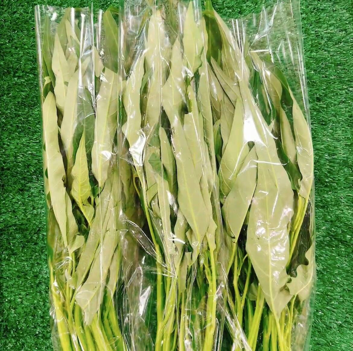 至宝の空芯菜（エンサイ）｜食べチョク｜産地直送(産直)お取り寄せ通販