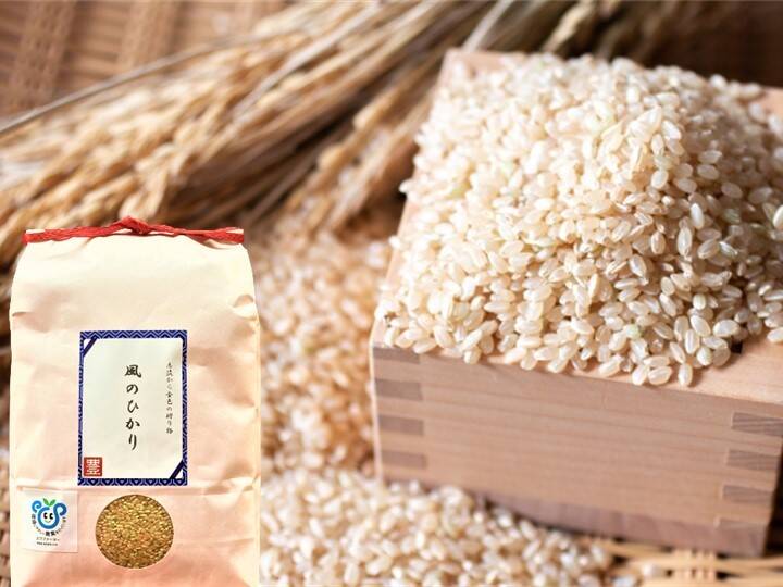 SALE!!玄米】令和３年産 茨城県産コシヒカリ風のひかり５kg【3日以内出荷】：茨城県産の米｜食べチョク｜産地直送(産直)お取り寄せ通販 -  農家・漁師から旬の食材を直送