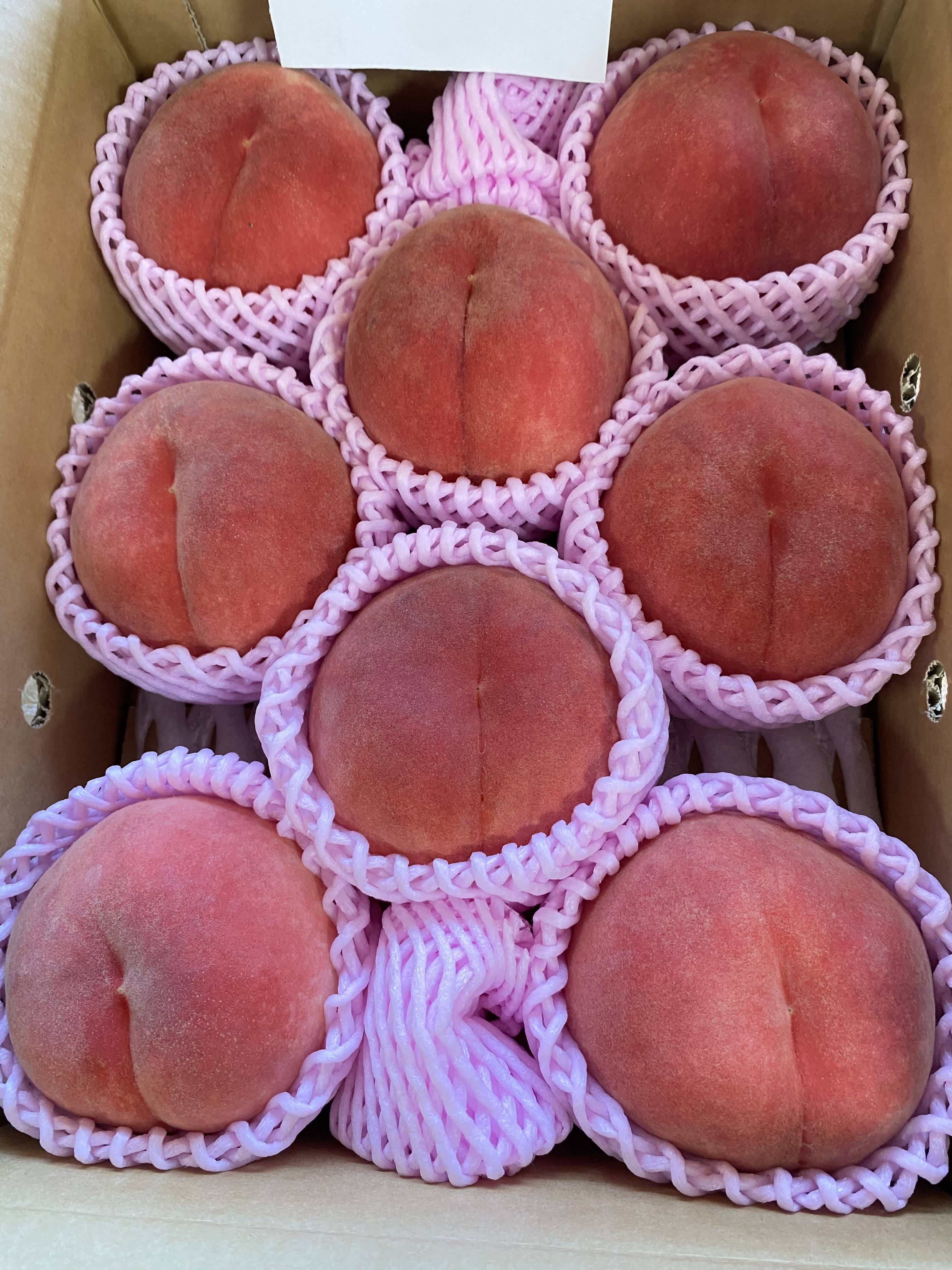 中国美術 朱 桃模様 丸形 菓子盆 20cm 697 中国美術 朱 桃模様 丸形 菓子盆 20cm 697