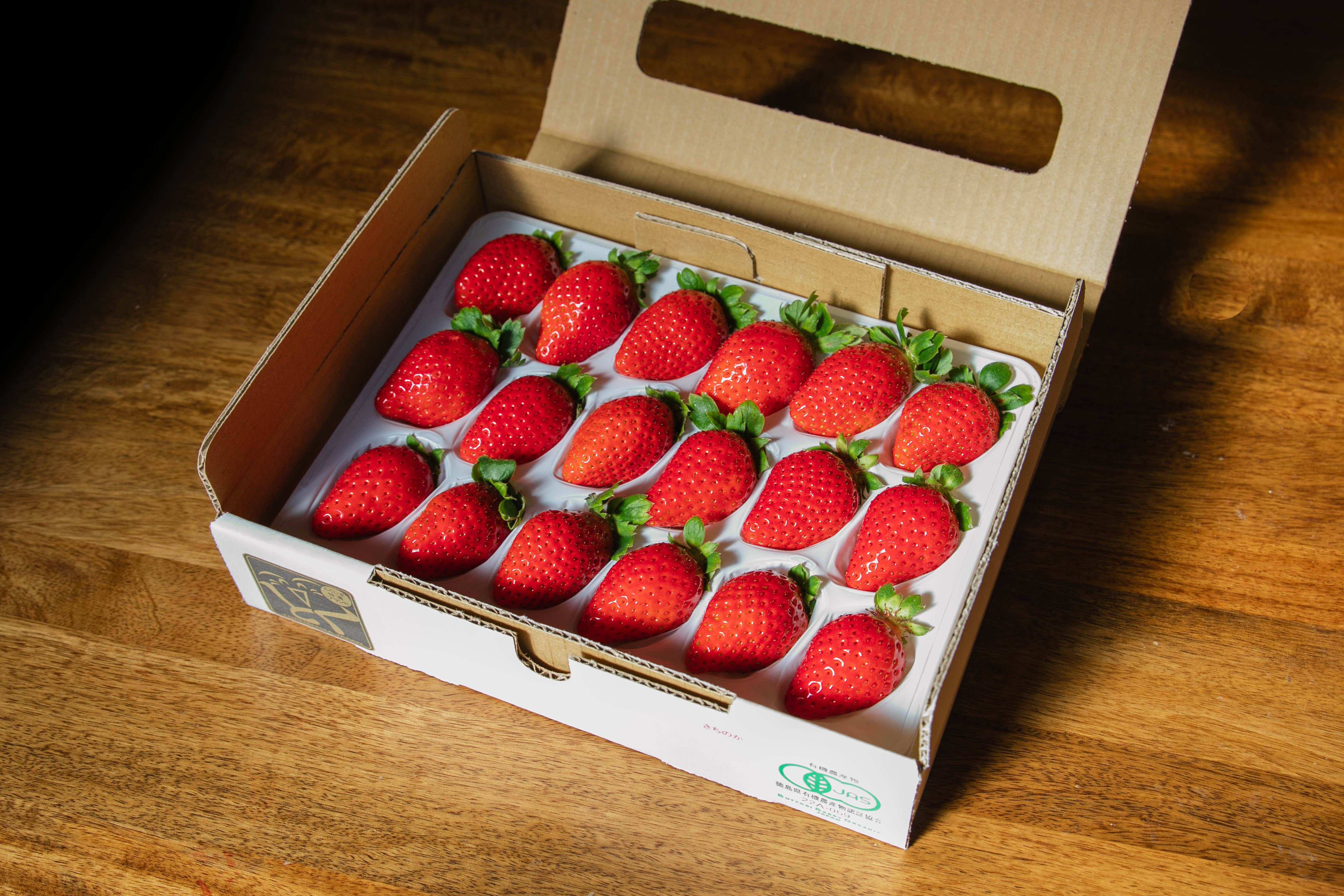 農薬ゼロ 100%オーガニックいちご 中粒(18粒)：徳島県産のさちのか