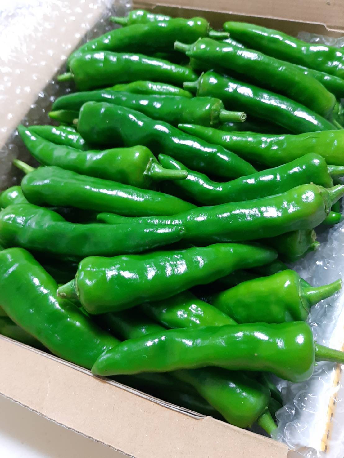 超激辛青唐辛子❗げきから君 2kg 農薬を用いない農家直送 超激辛青唐辛子❗げきから君 1kg 農薬を用いない農家直送 - メルカリ