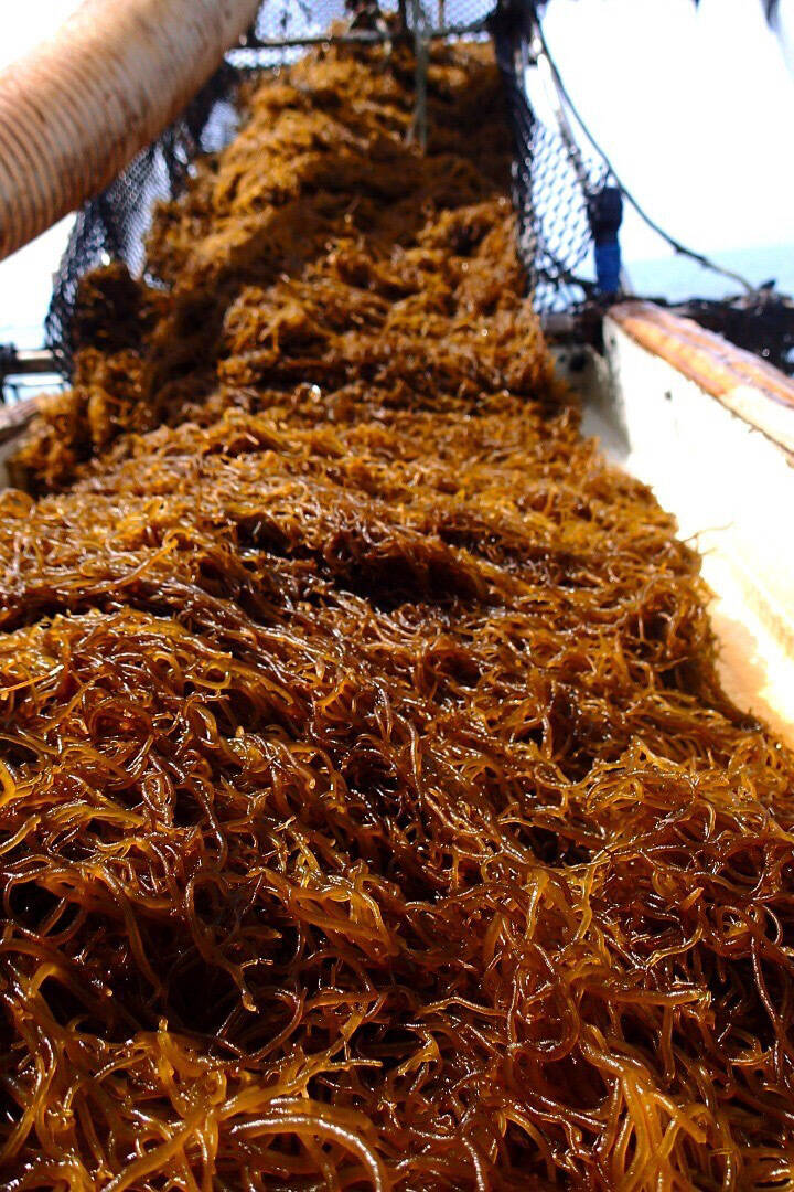 7da9eab9319ca2871c4ab696723ca0