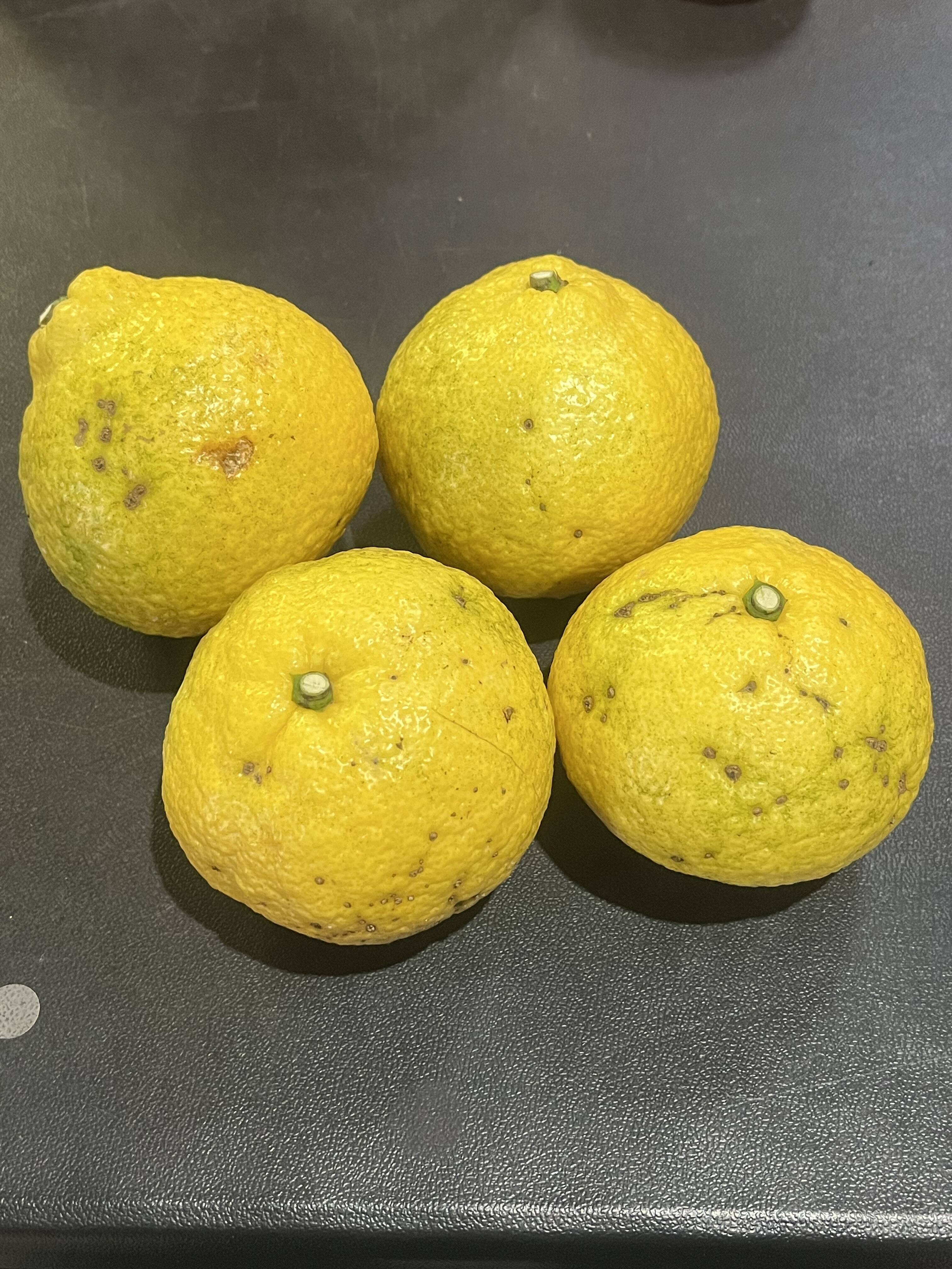 愛媛県産 訳あり はるか10kg：愛媛県産のみかん・柑橘類｜食べチョク