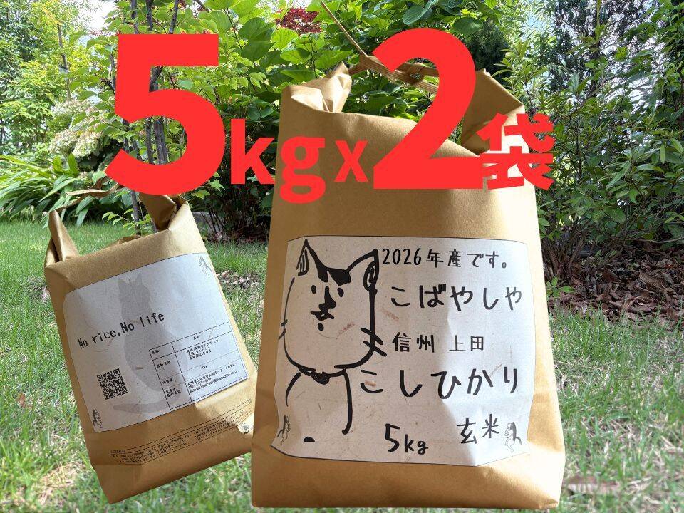 第一次予約‼️ もっちもちの26年度産新米!! 信州上田産コシヒカリ玄米