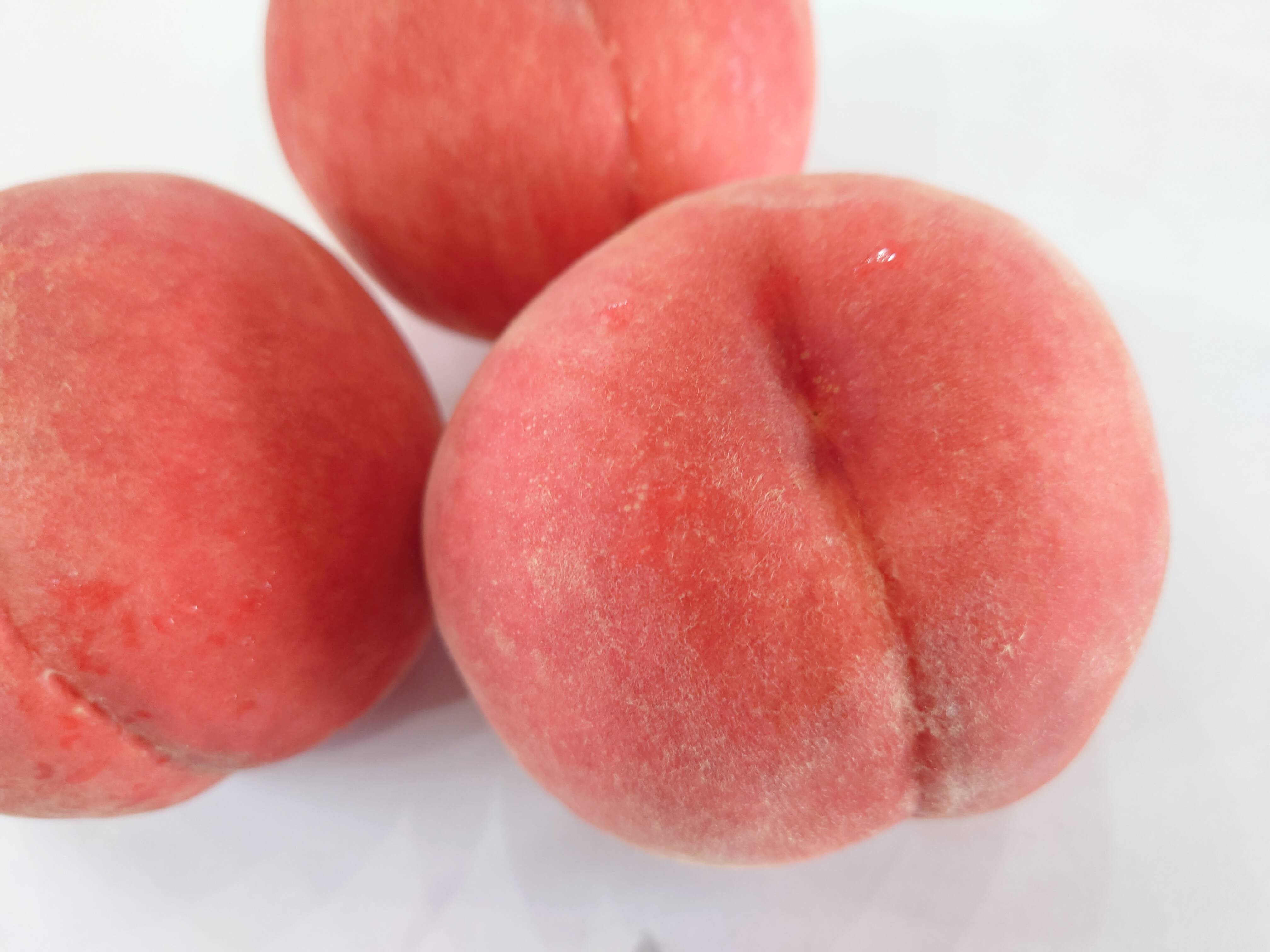 充実した美味しさ！「なつおとめ」S〜M玉 約1.7kg【クール便】【化粧箱