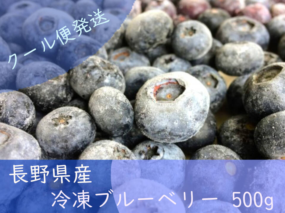 フレッシュ/ 長野県産 冷凍ブルーベリー 500g：茨城県産のブルーベリー