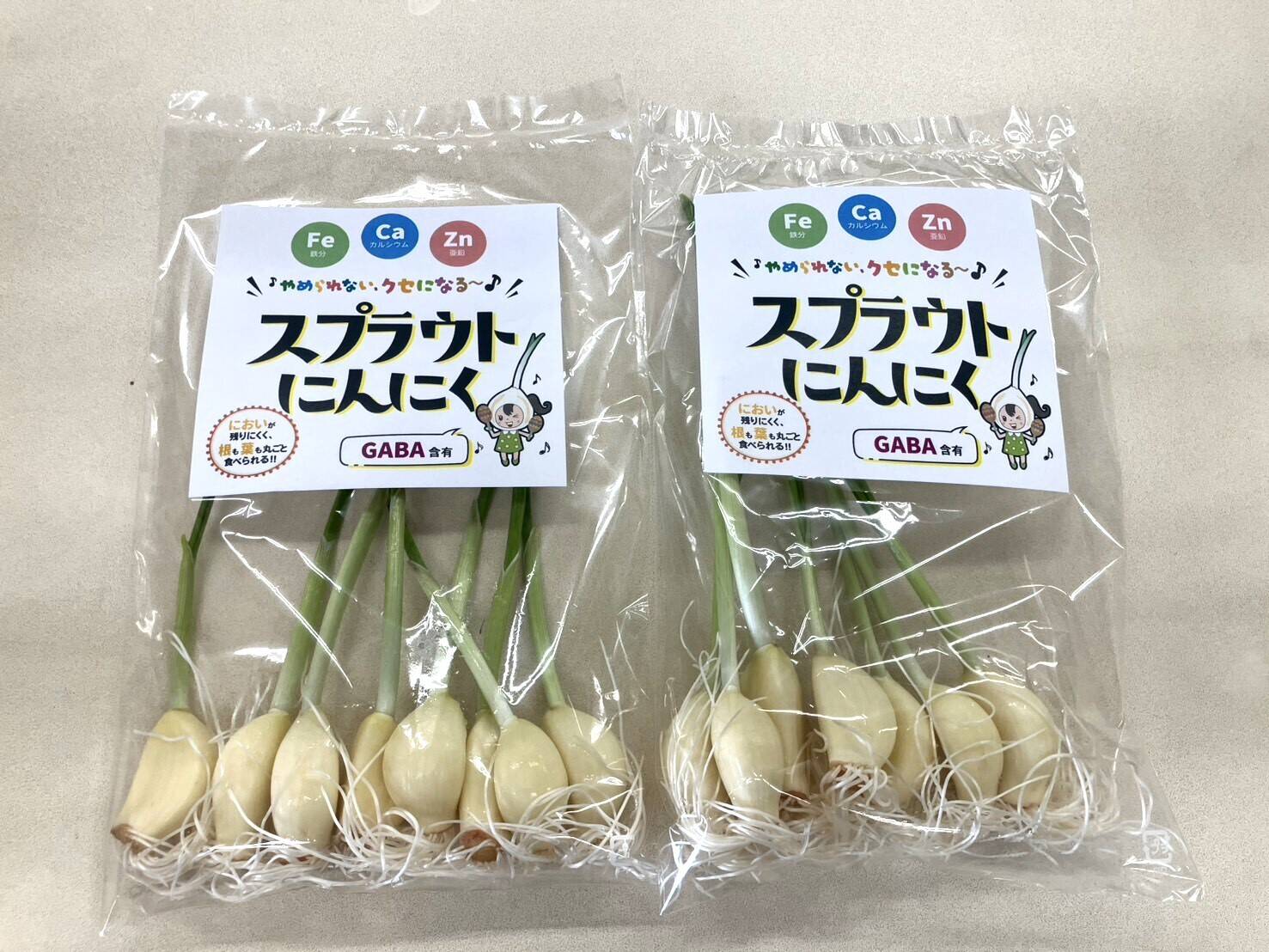 スプラウトにんにく50g×2袋（50g＝約6個）※発芽にんにく/スプラウト 