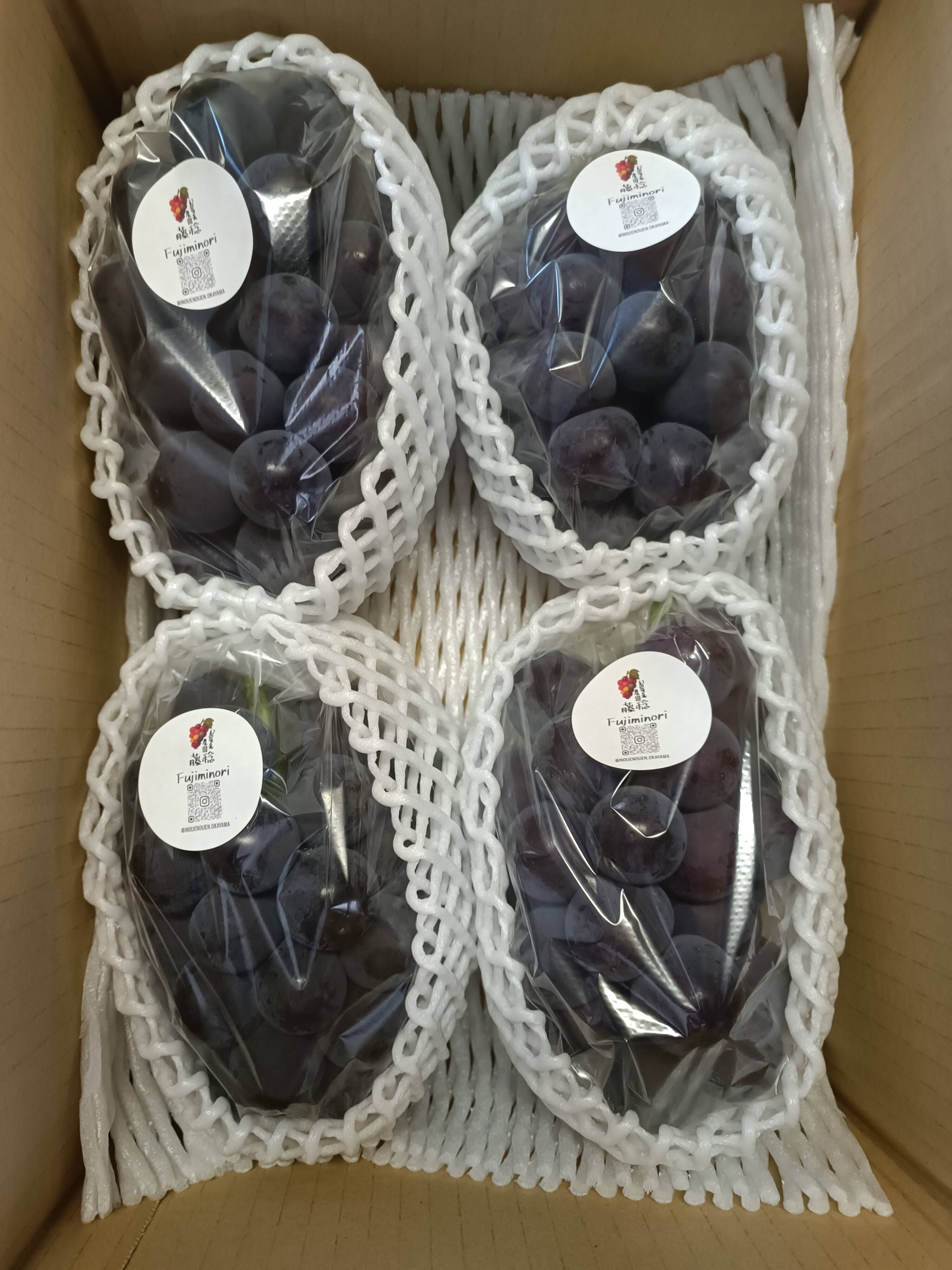 ももはるママ　藤稔2kg箱 2箱 岡山県産藤稔2kg(3〜4房)：岡山県産の藤稔｜食べチョク｜産地