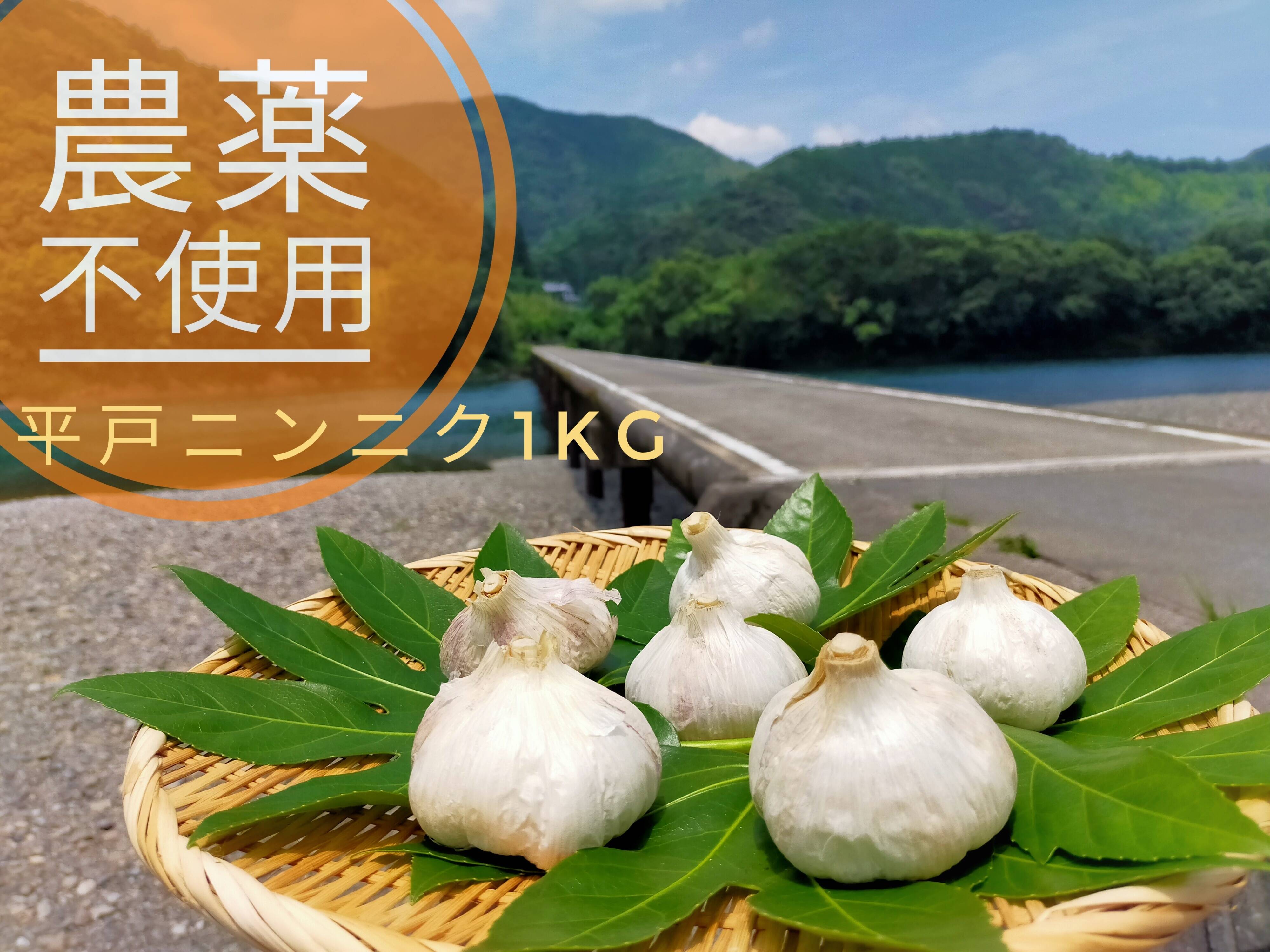 農薬未使用 平戸にんにくSサイズ：高知県産の平戸にんにく｜食べチョク｜産地直送(産直)お取り寄せ通販 - 農家・漁師から旬の食材を直送