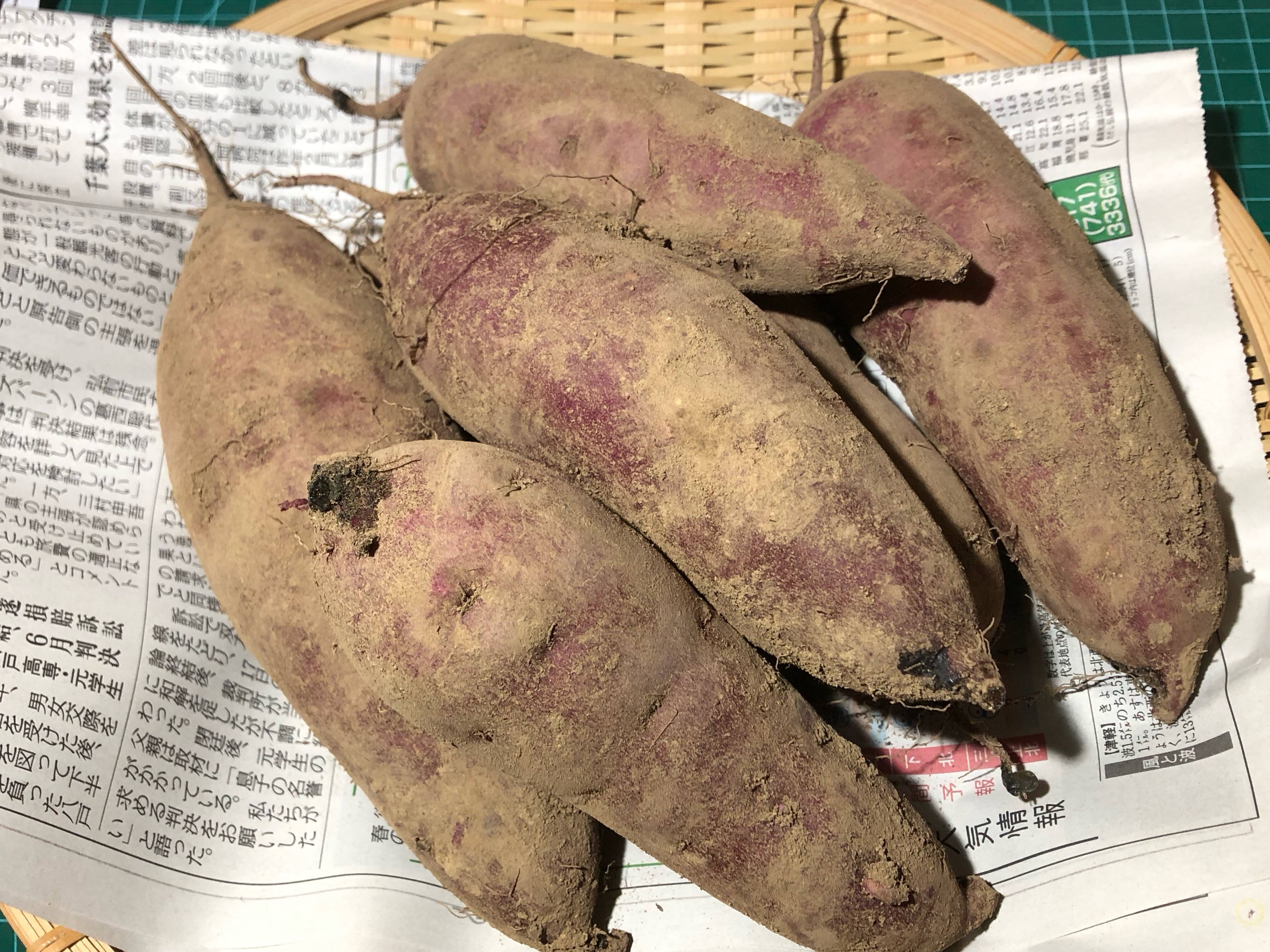 農薬・化学肥料不使用栽培】2024年産 青森県産 シルクスイート