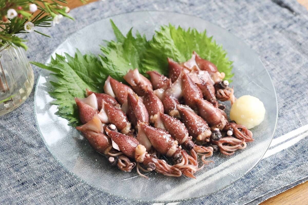 日時指定可】獲れたて茹でたて鮮度を即冷凍！！《富山湾》🦑釜揚ほたる