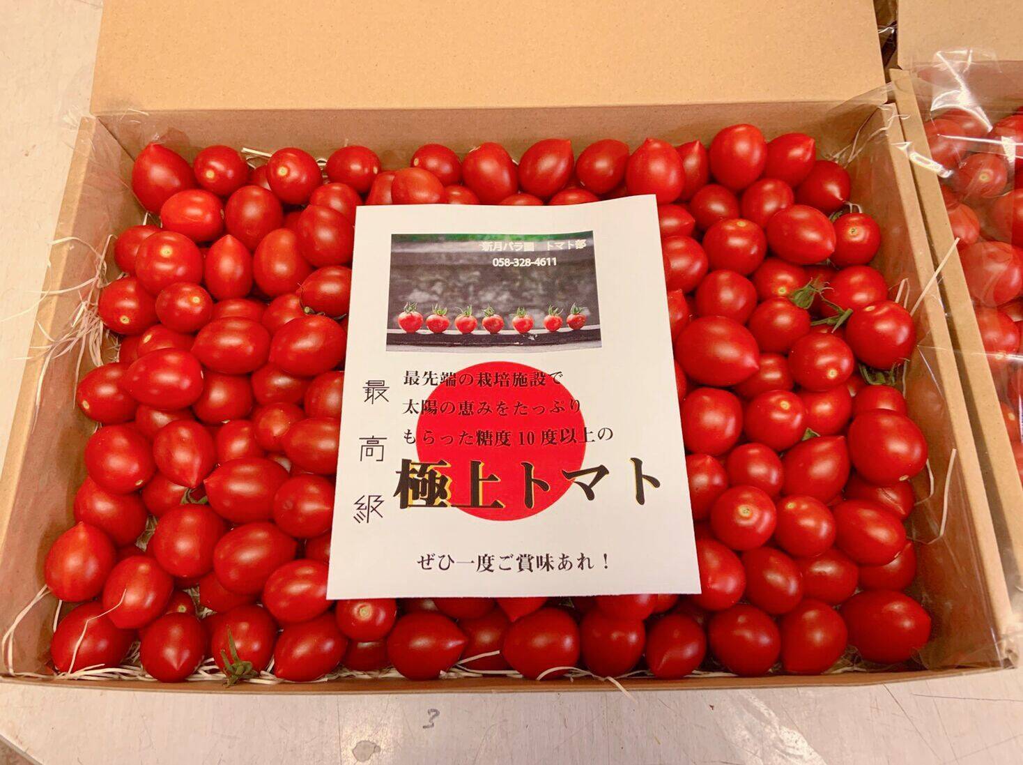 熊本ミニトマト 予約、注文、連絡専用ページ 【公式通販】 熊本ミニトマト 予約、注文、連絡専用ページ 【公式通販】