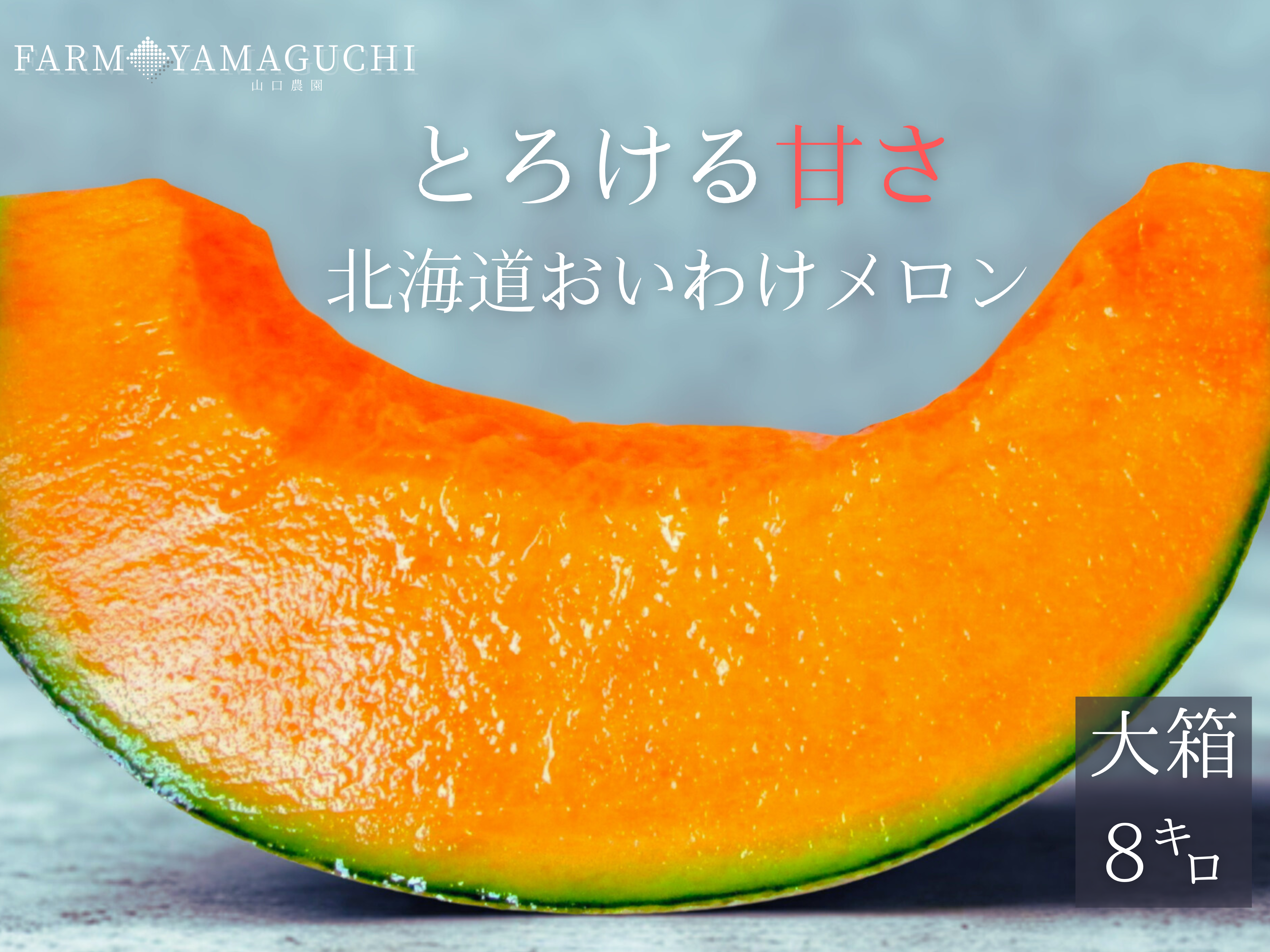 メロン ページ ギフト専門農家から！【北海道メロン】 大箱 8キロ：北海道産の