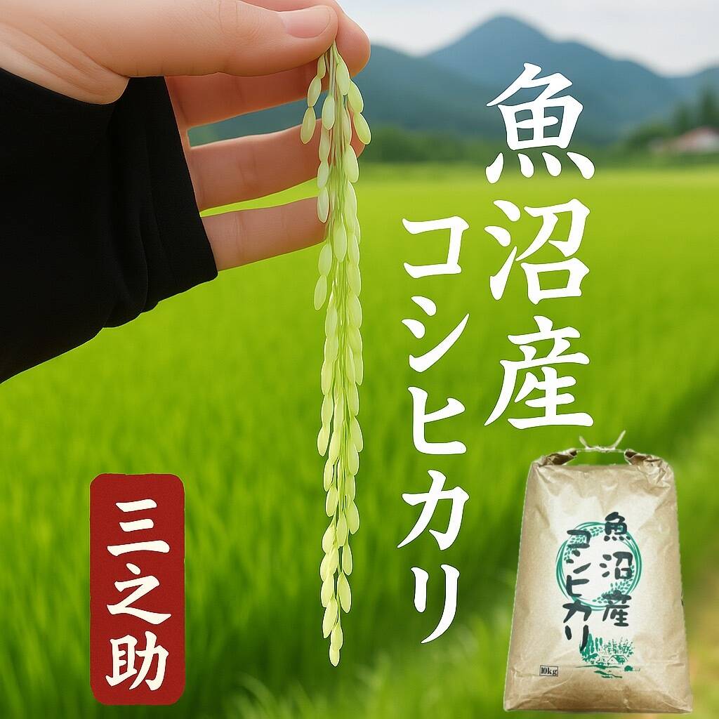 魚沼市で作った美味しいお米 精米 魚沼産コシヒカリ 20㎏ 令和7年産