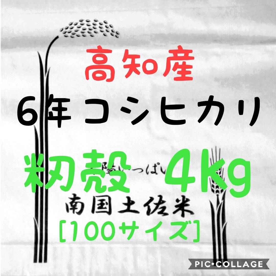 あこ様専用 送料込み 令和6年産 高知県産 コシヒカリ 玄米30