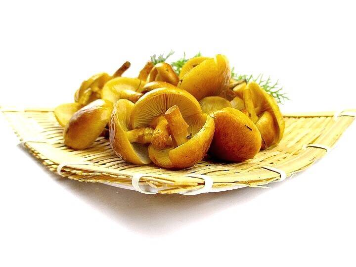 予約】おいしい天然なめこ2kg以上～ 天然ならではの味と風味は格別