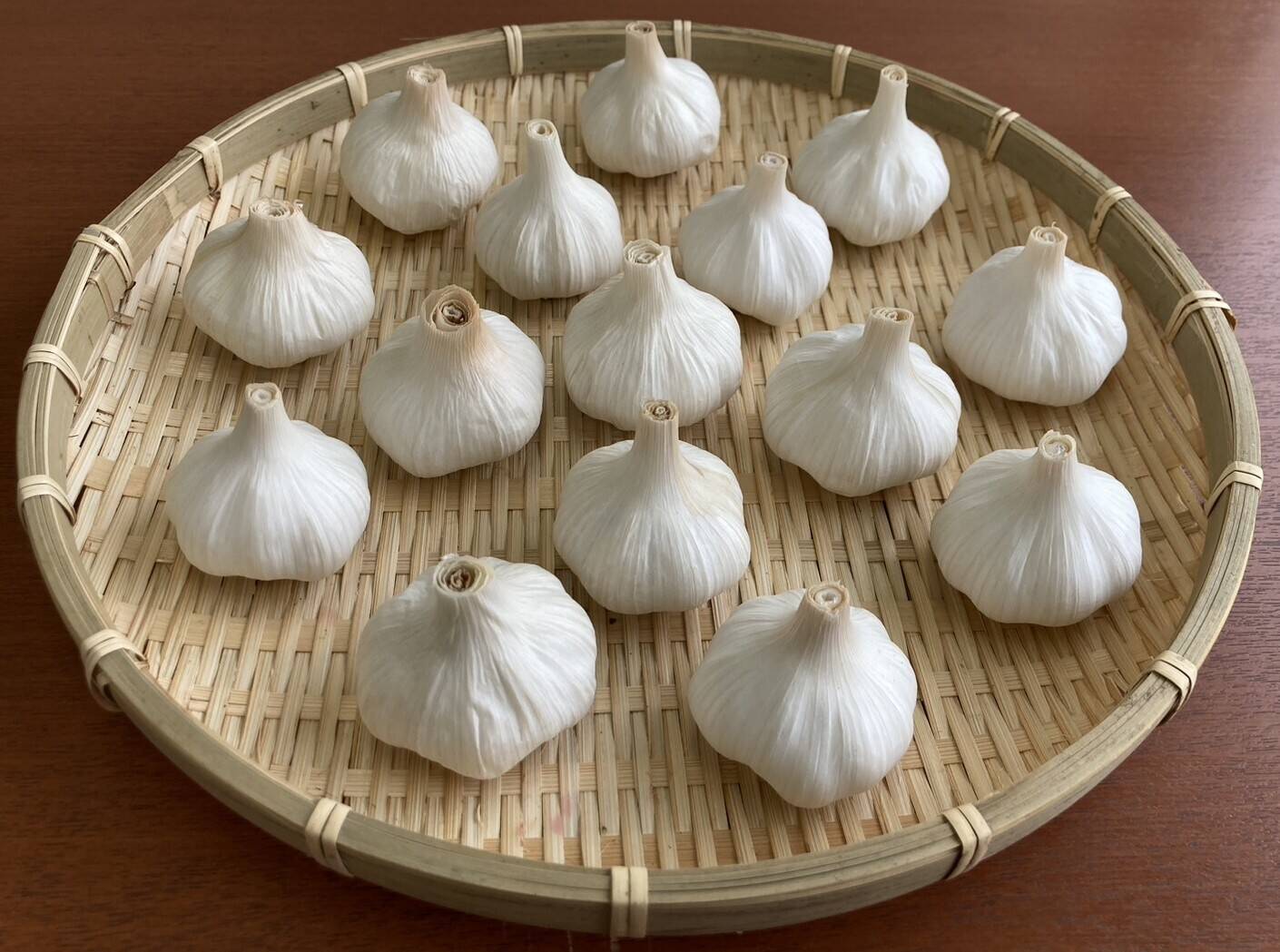 農薬化学肥料不使用》愛知県国産ニンニク500g（M～Lサイズ約13個