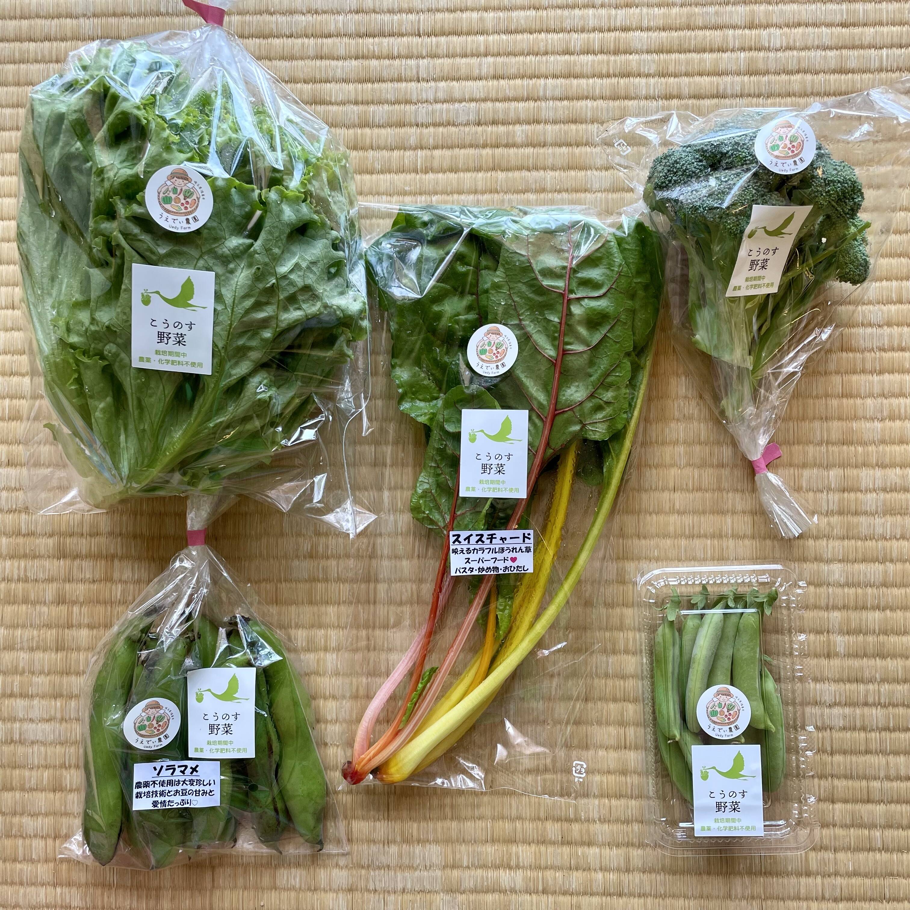 農薬・化学肥料不使用♪野菜セット5種類 個包装