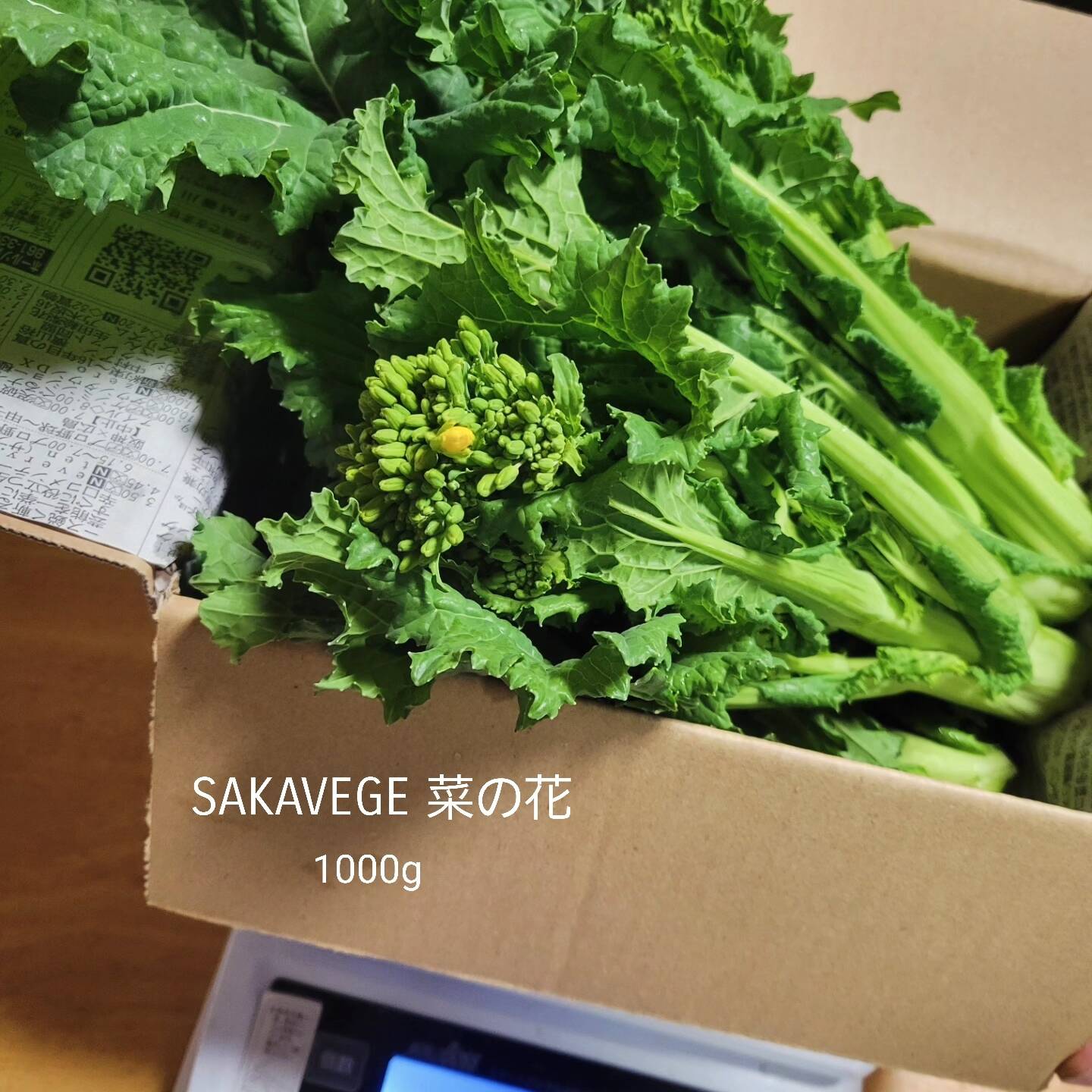 離島専用) 菜の花 1000g：香川県産の菜の花｜食べチョク｜産地直送