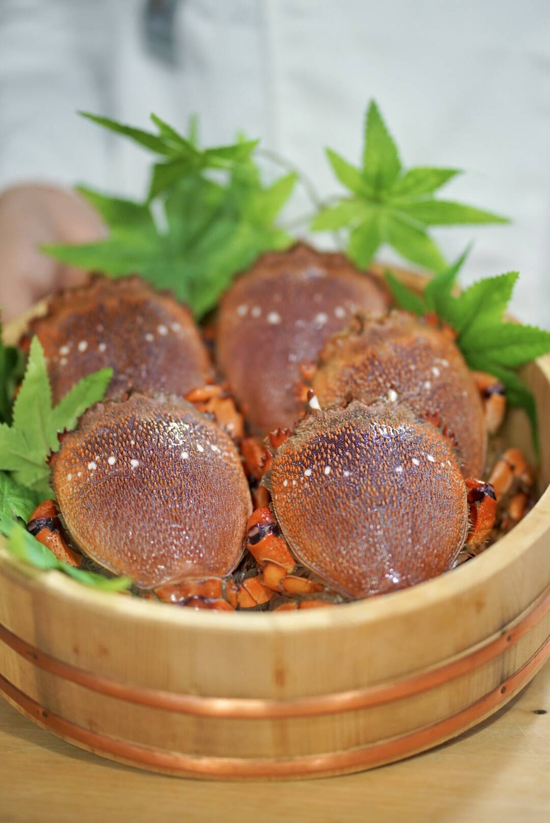 80930f8a803e6170cb7f7d8341cc80