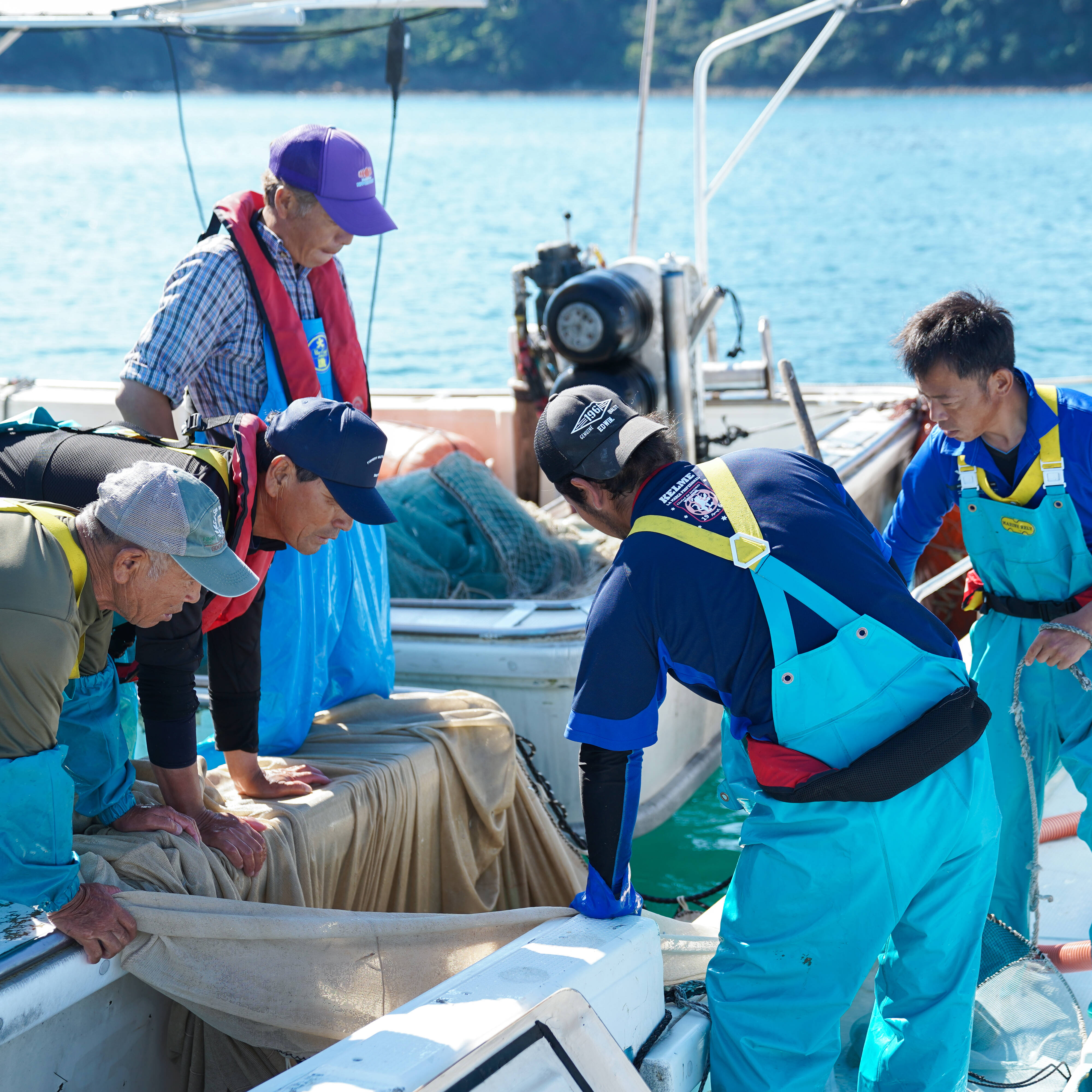 唐津漁師 東宝丸へのレビュー・商品：佐賀県｜食べチョク｜産地