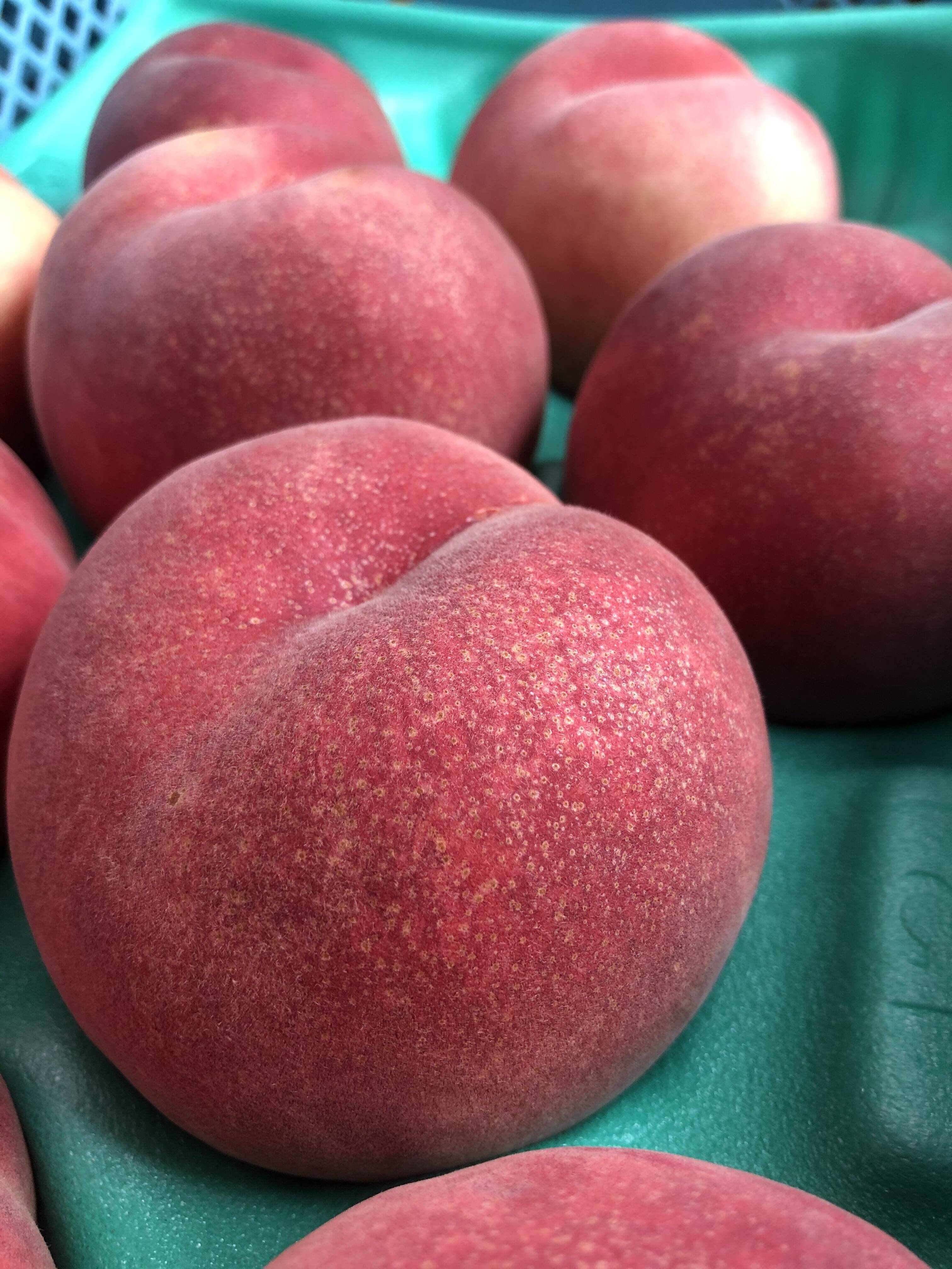 むにゅっとした食感】🌸『さくら白桃』3キロ 🤍【最初はパリパリ