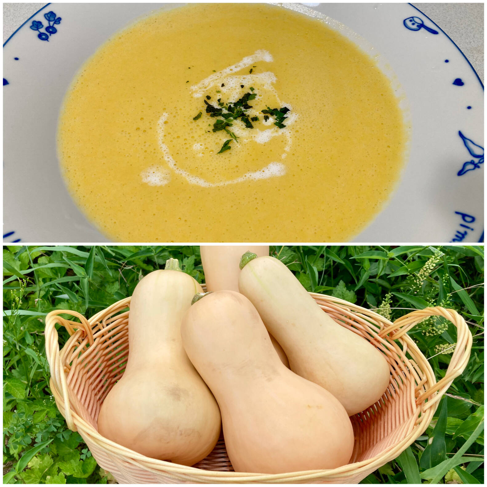 バター ナッツ かぼちゃ スープ