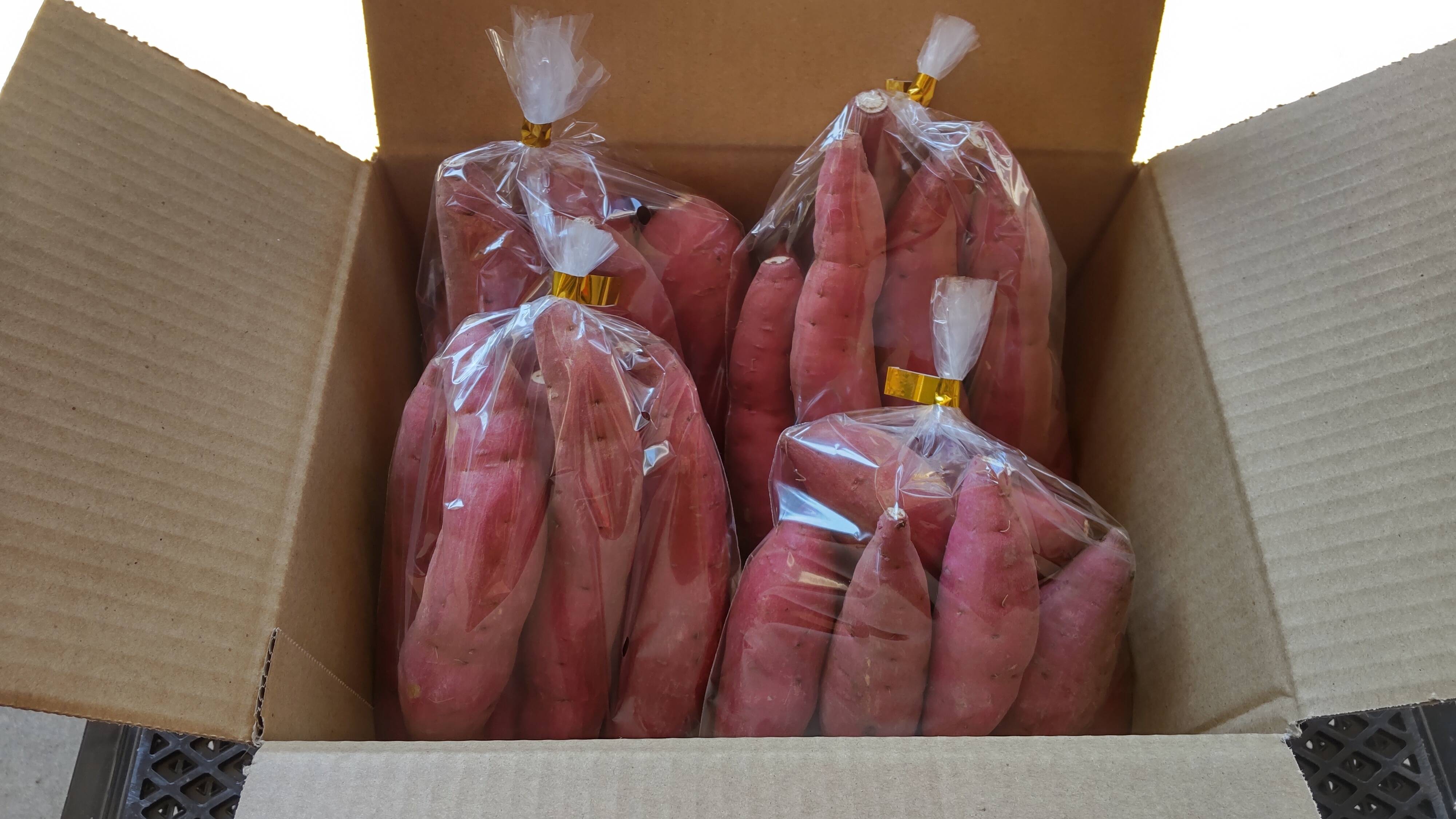 8111a4c800a2ae2e9cead9cd90011c