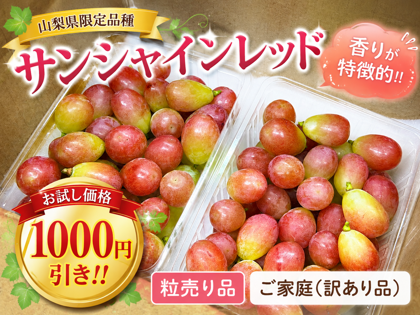お試し価格1000円値引き【サンシャインレッド】ご家庭用(訳あり品) 粒