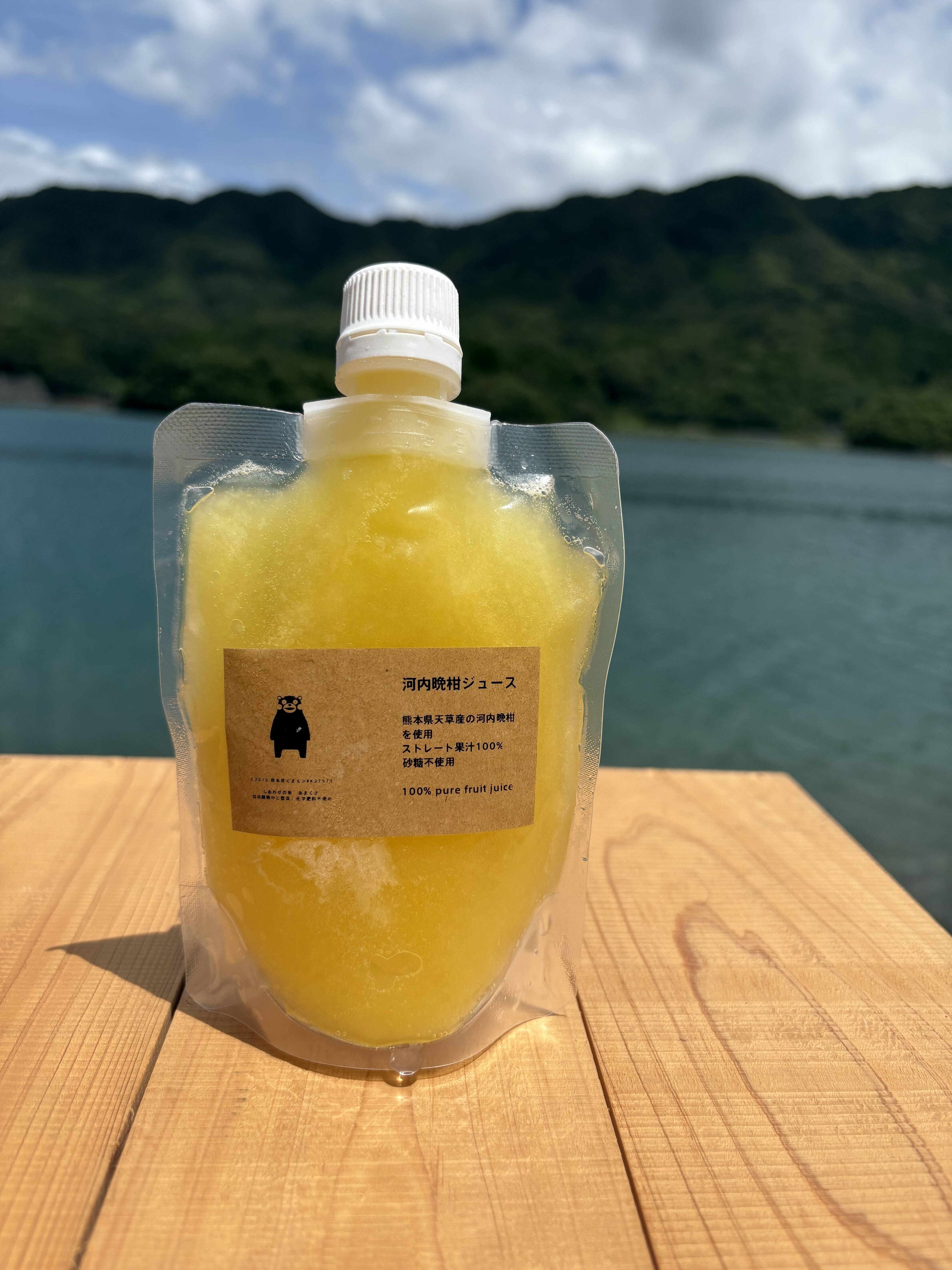 【胡蝶蘭】みかん蜂蜜600ｇ×2本+1000ｍｌみかんジュース６本 胡蝶蘭様専用】600g蜂蜜2本+1000みかんジュース6本+せ