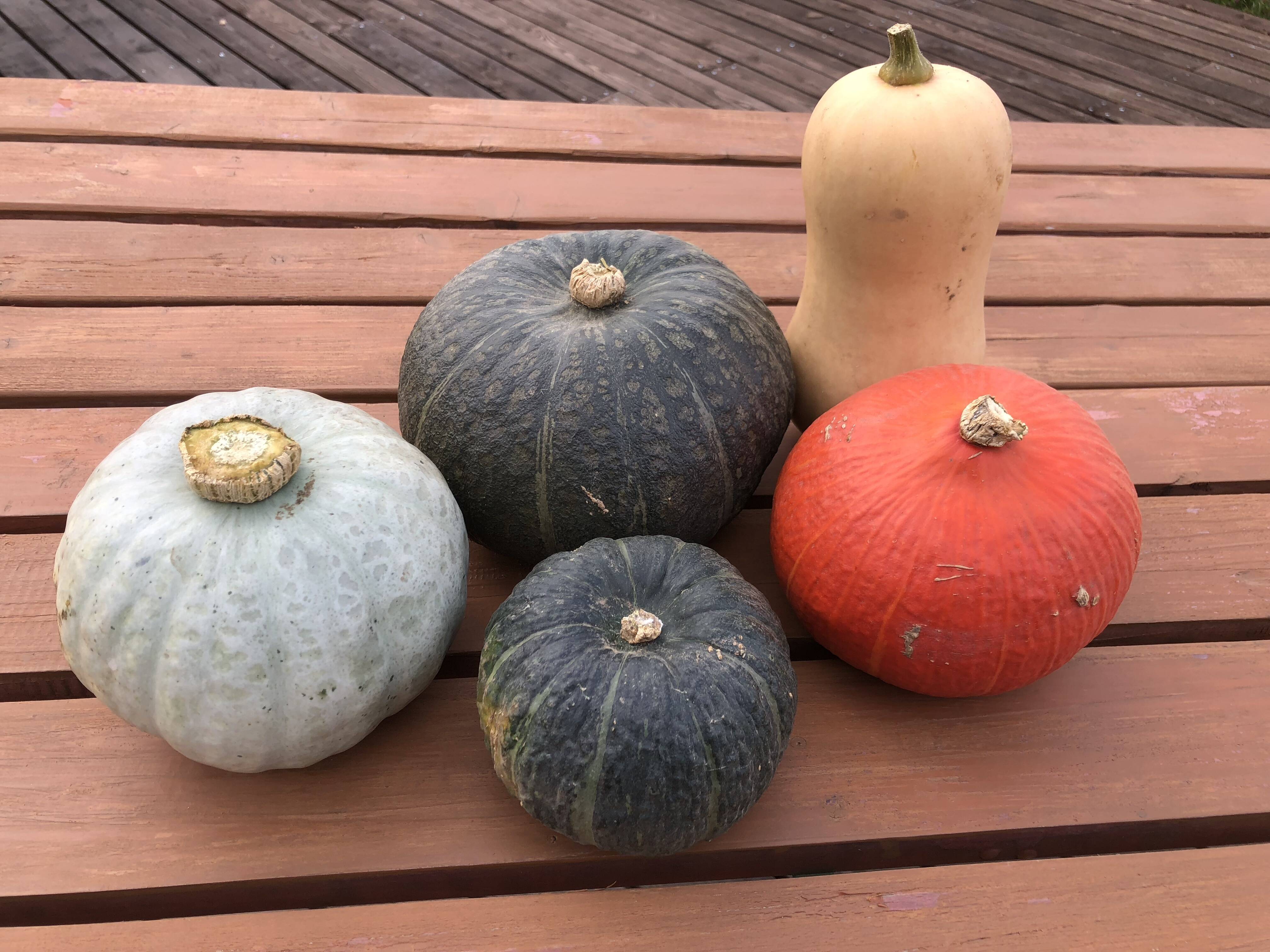 北海道産かぼちゃ詰め合わせ　20キロ　オーダー商品　野菜