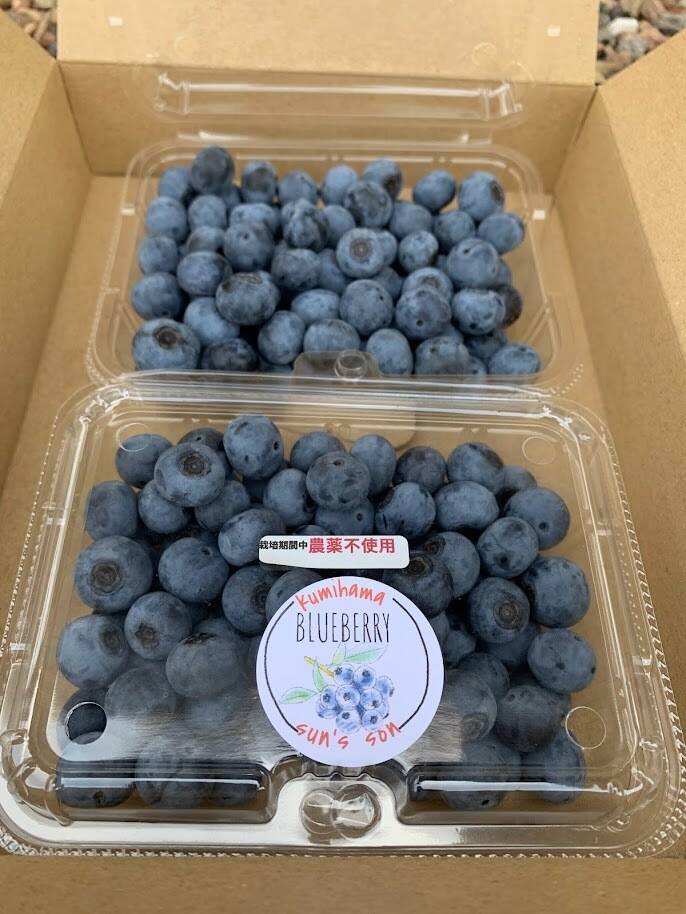 新入荷当日発送　数量僅か　高級採れたて　新鮮生ブルーベリー　超希少秀品 入荷当日発送 超希少特大粒秀品 最高級採れたて新鮮生ブルーベリー 3点