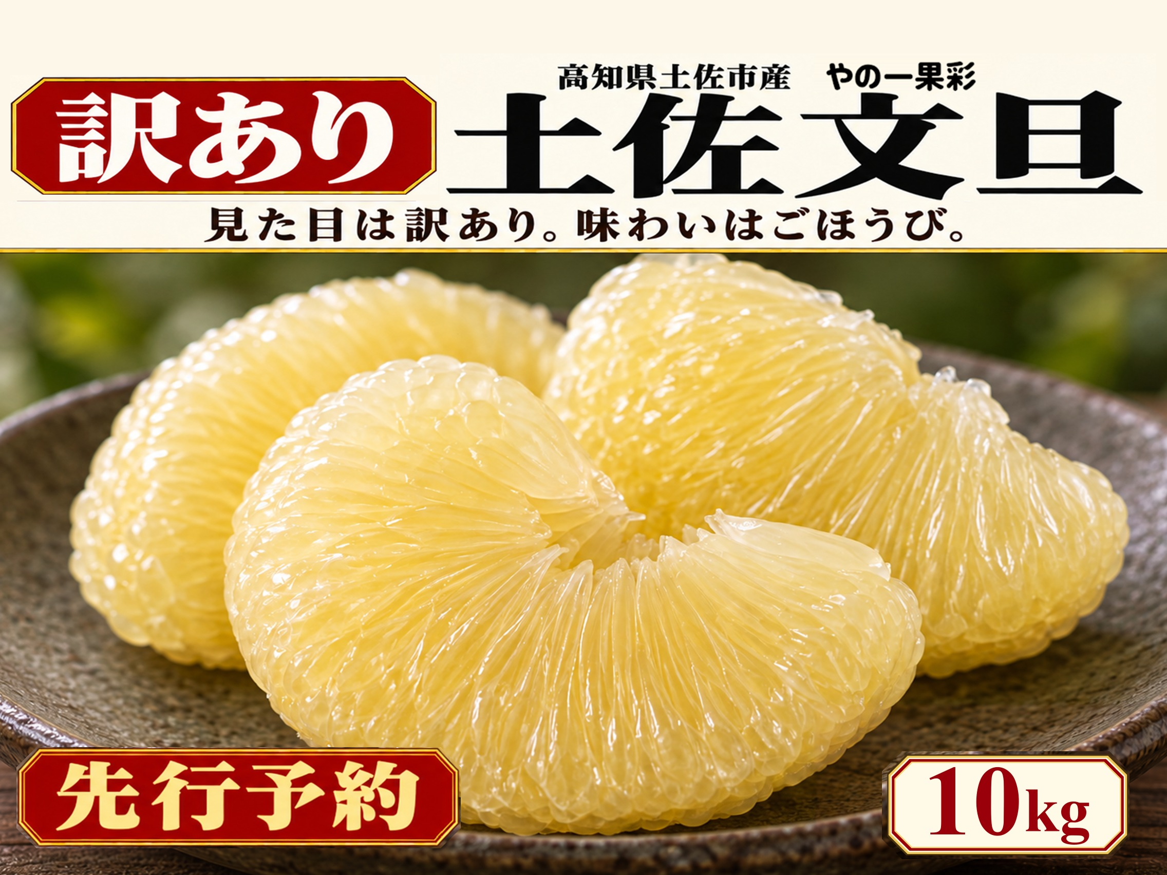 土佐文旦 訳あり10kg｜見た目より味と量｜サイズ・玉数おまかせ｜発祥