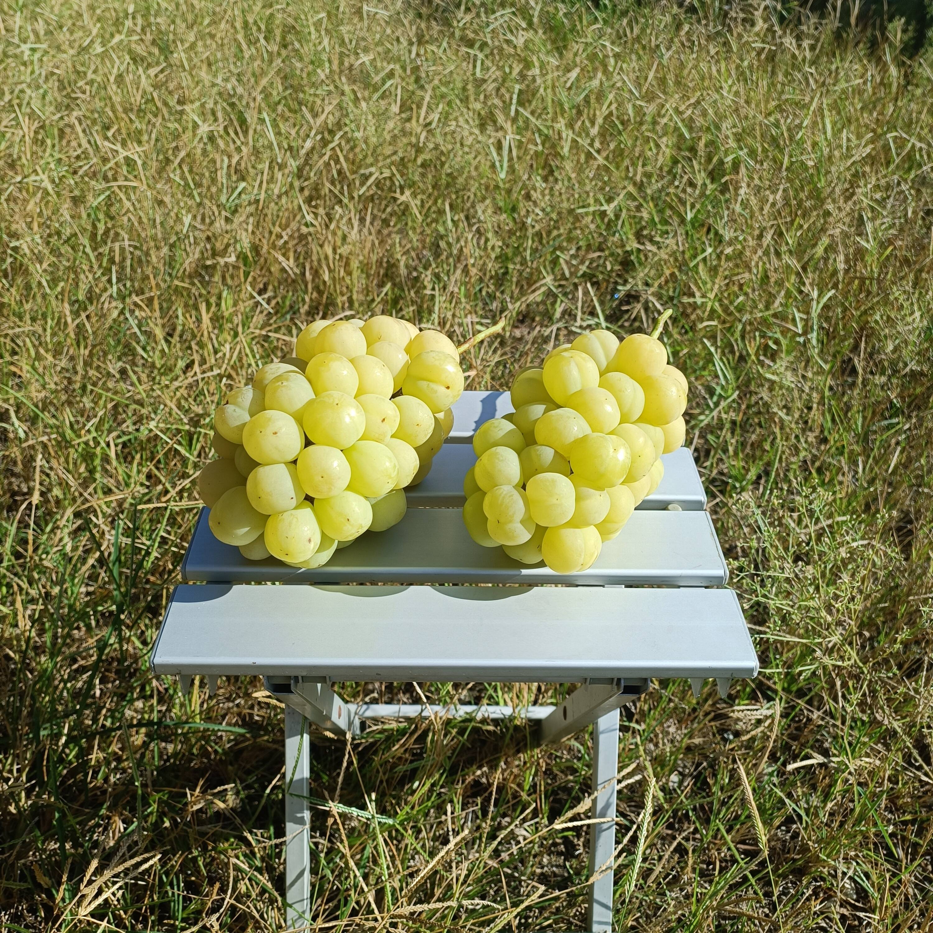81bece10b16a23ada927f0cef6603d
