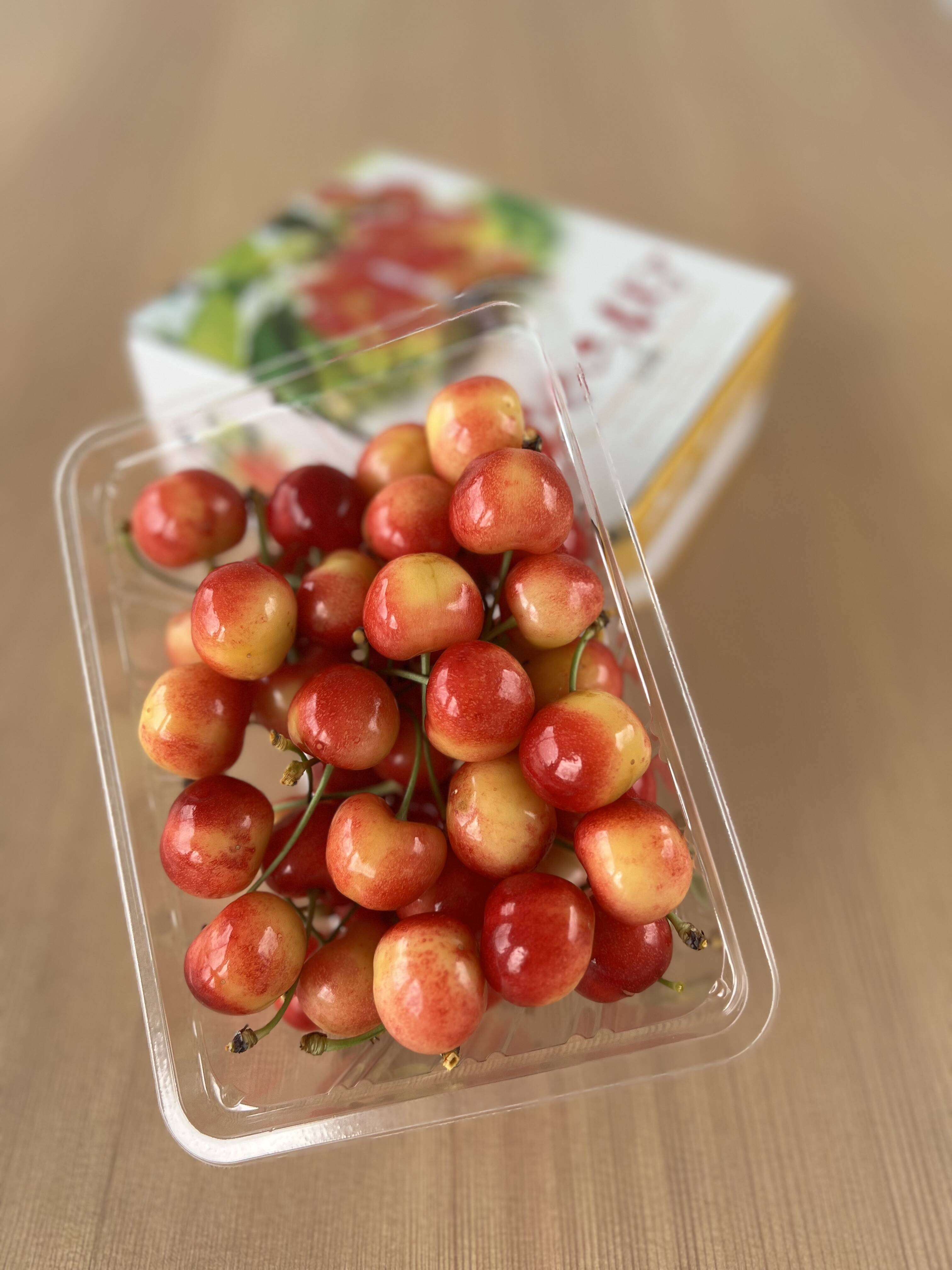 数量限定※新品種 紅王登場！！！山形県産 【500円サイズ】 2L〜5L 家庭
