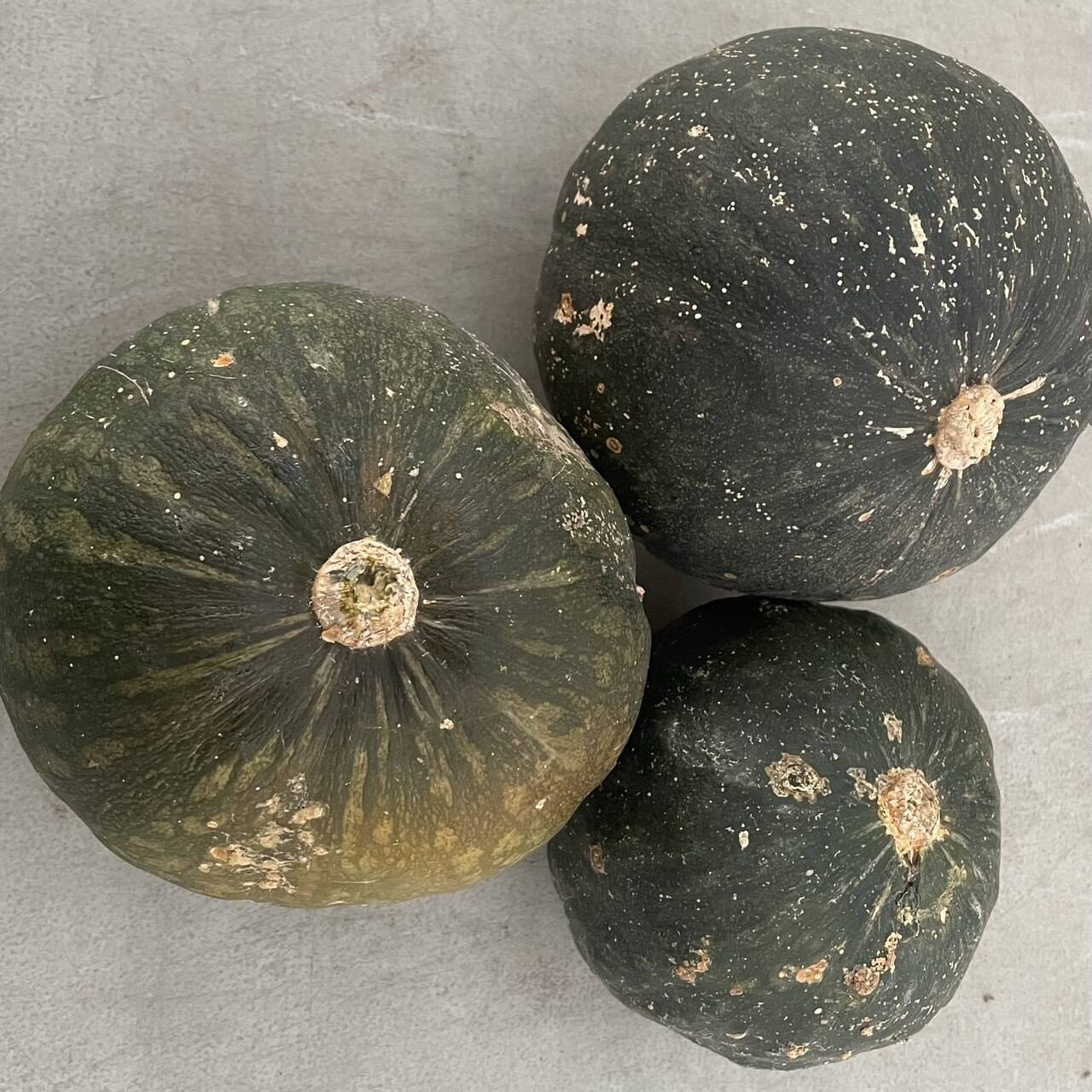 お得用】有機JAS ホクホクあまーい オーガニックかぼちゃ：愛知県産の