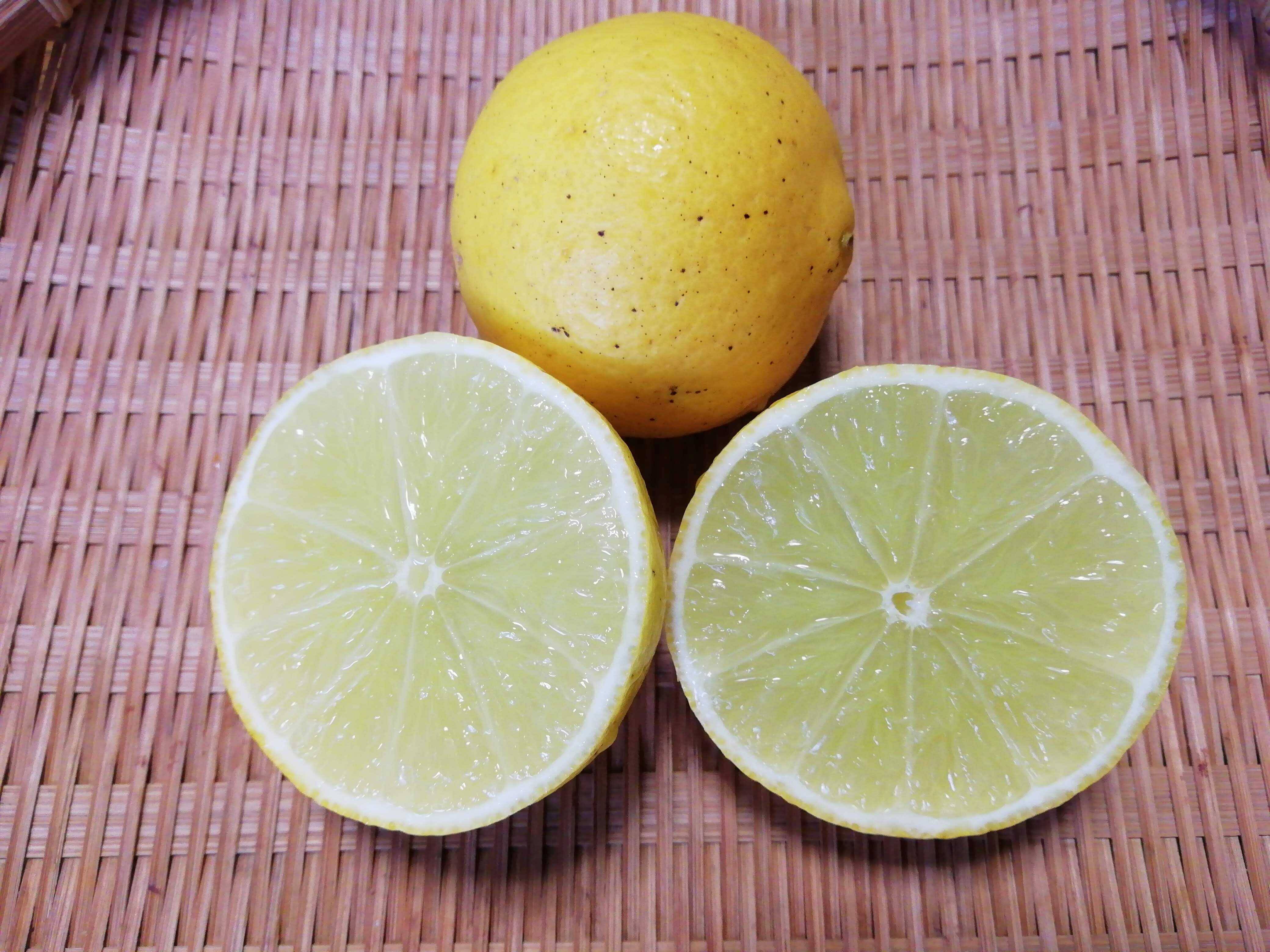 タヒチライム（完熟）1㎏【農薬化学肥料不使用】【あわせ買い可