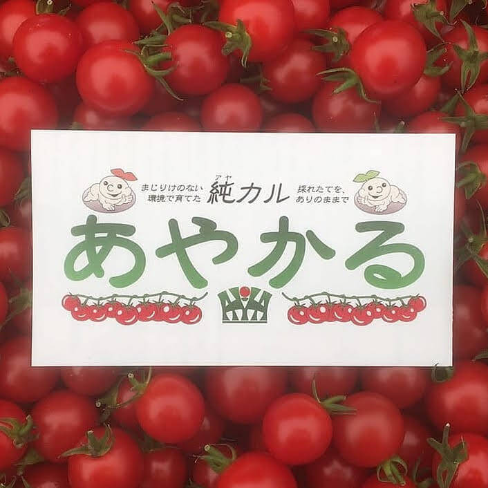 期間限定10％OFF!!》樹上完熟あやかる®️ミニトマト［千果］（900g
