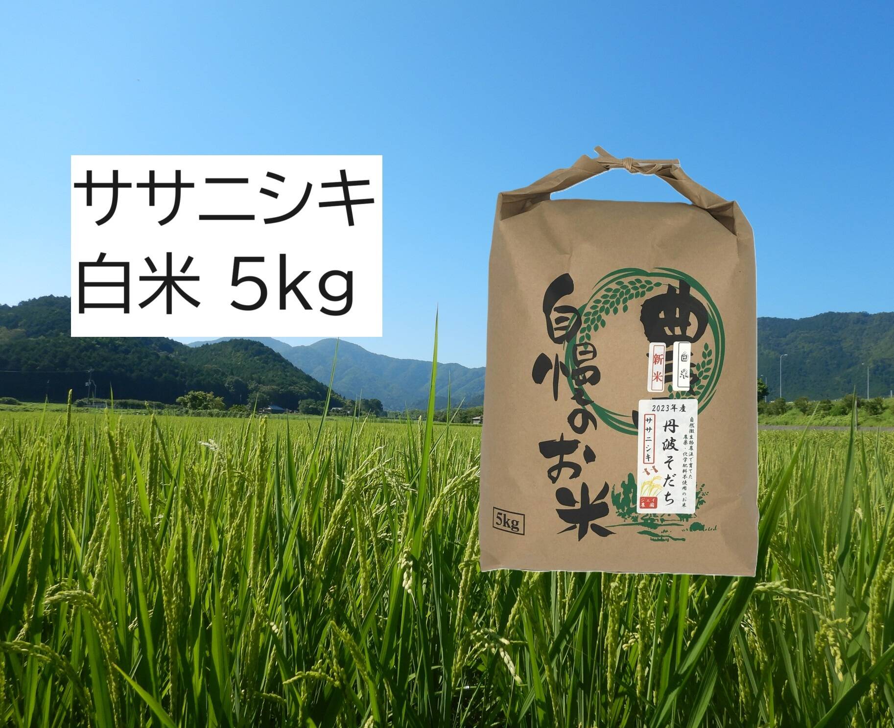 新米・2026年産】自然栽培米『ササニシキ』白米5kg：兵庫県産の