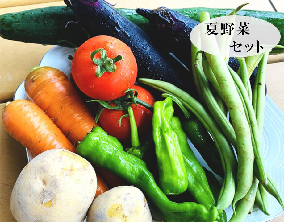 先行予約受付開始！【朝どれ】【丹波篠山認定農家 〈数量限定〉夏の