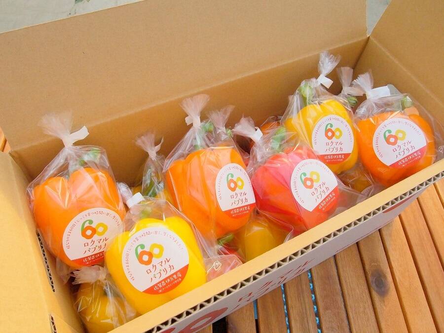 国産完熟パプリカ 約3kg mix：佐賀県産のその他パプリカ｜食べチョク